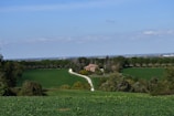 A rural landscape featuring a winding dirt road leading to a small brick house surrounded by green fields and clusters of trees. The sky is clear and blue, with a few clouds scattered. In the distance, a line of trees separates the fields from the horizon.