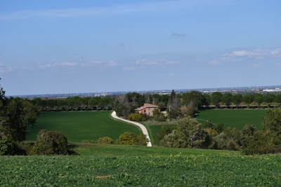 A rural landscape featuring a winding dirt road leading to a small brick house surrounded by green fields and clusters of trees. The sky is clear and blue, with a few clouds scattered. In the distance, a line of trees separates the fields from the horizon.