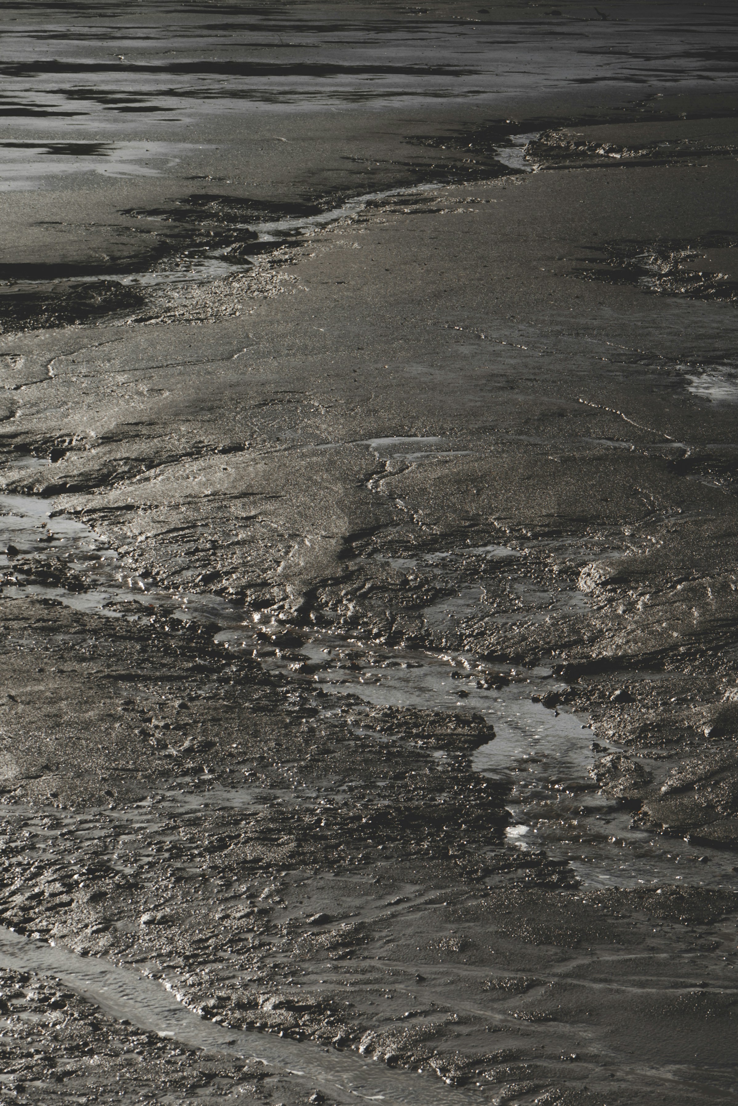 Photo by groundedinc