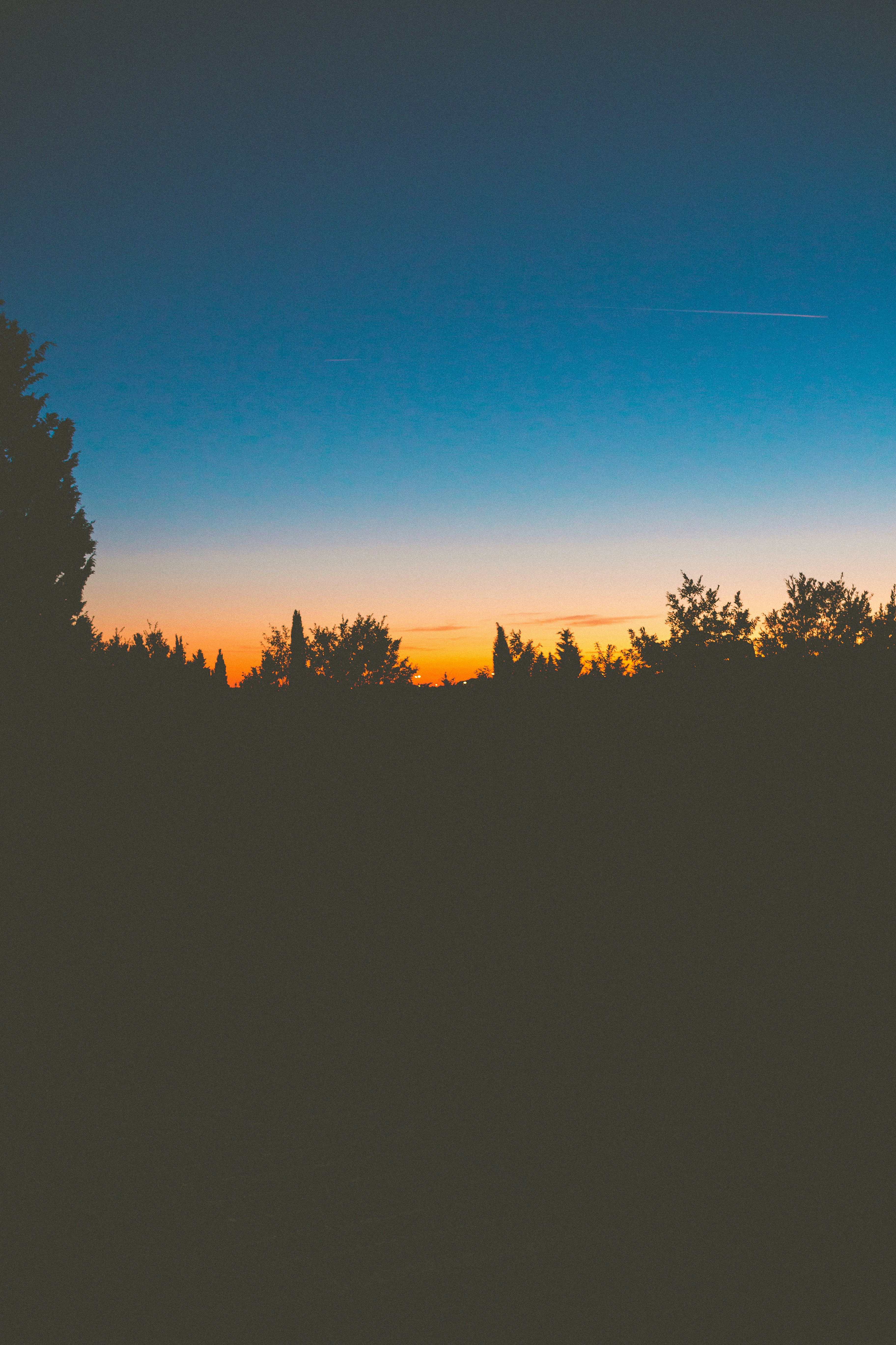 Photo by mrsunflower94