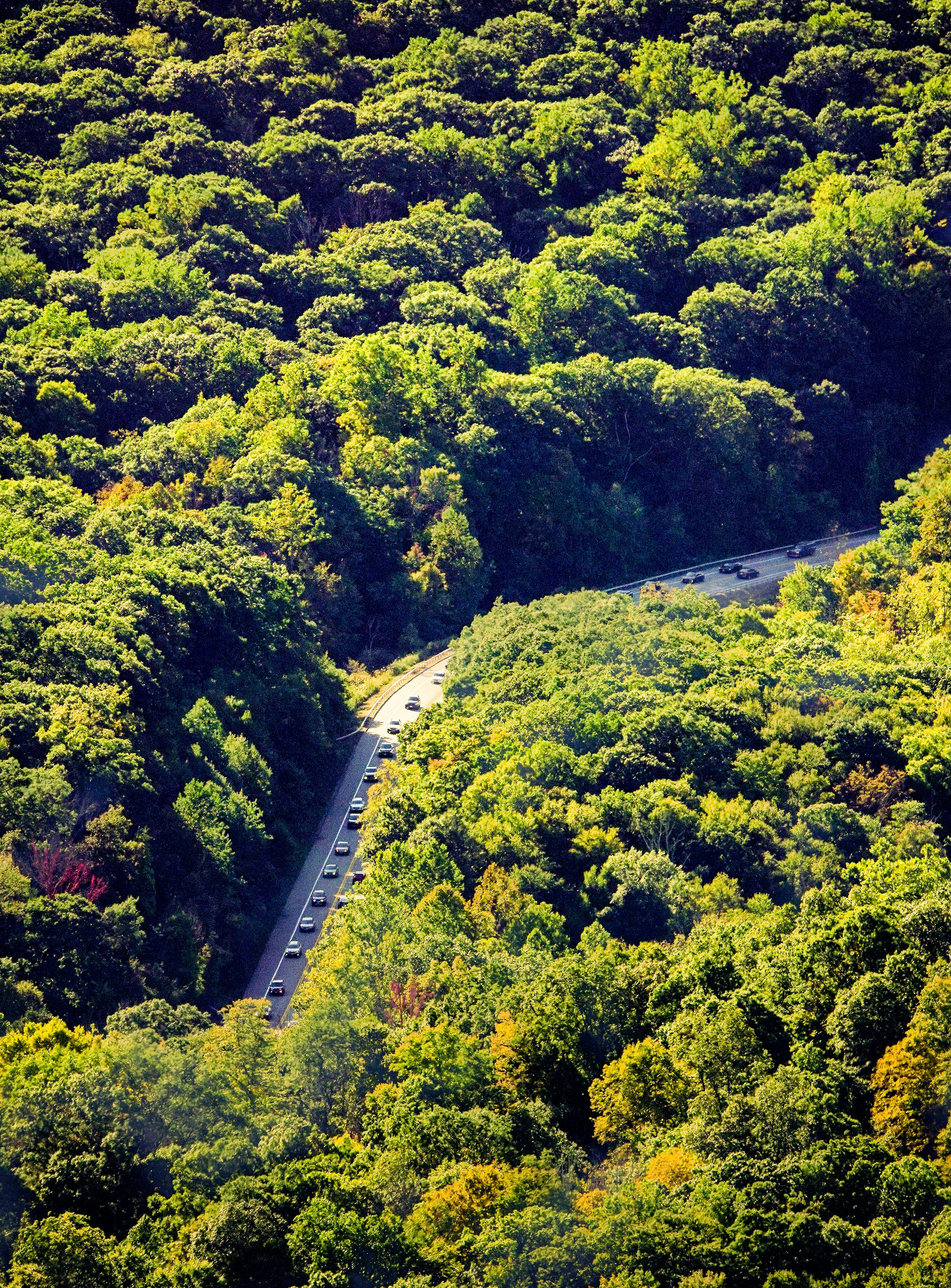 Cómo los humanos alteran la naturaleza