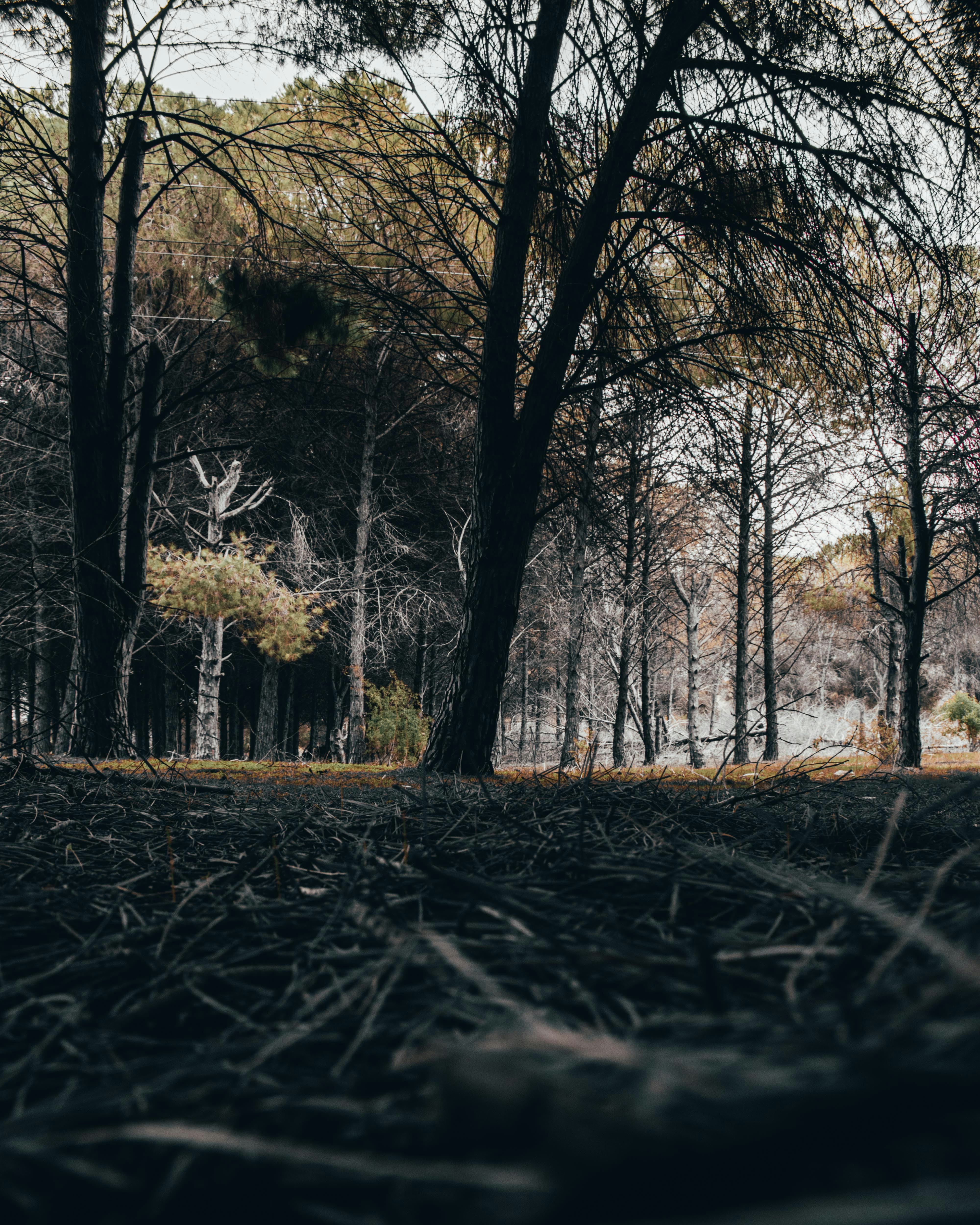 Photo by bilal_ayadi