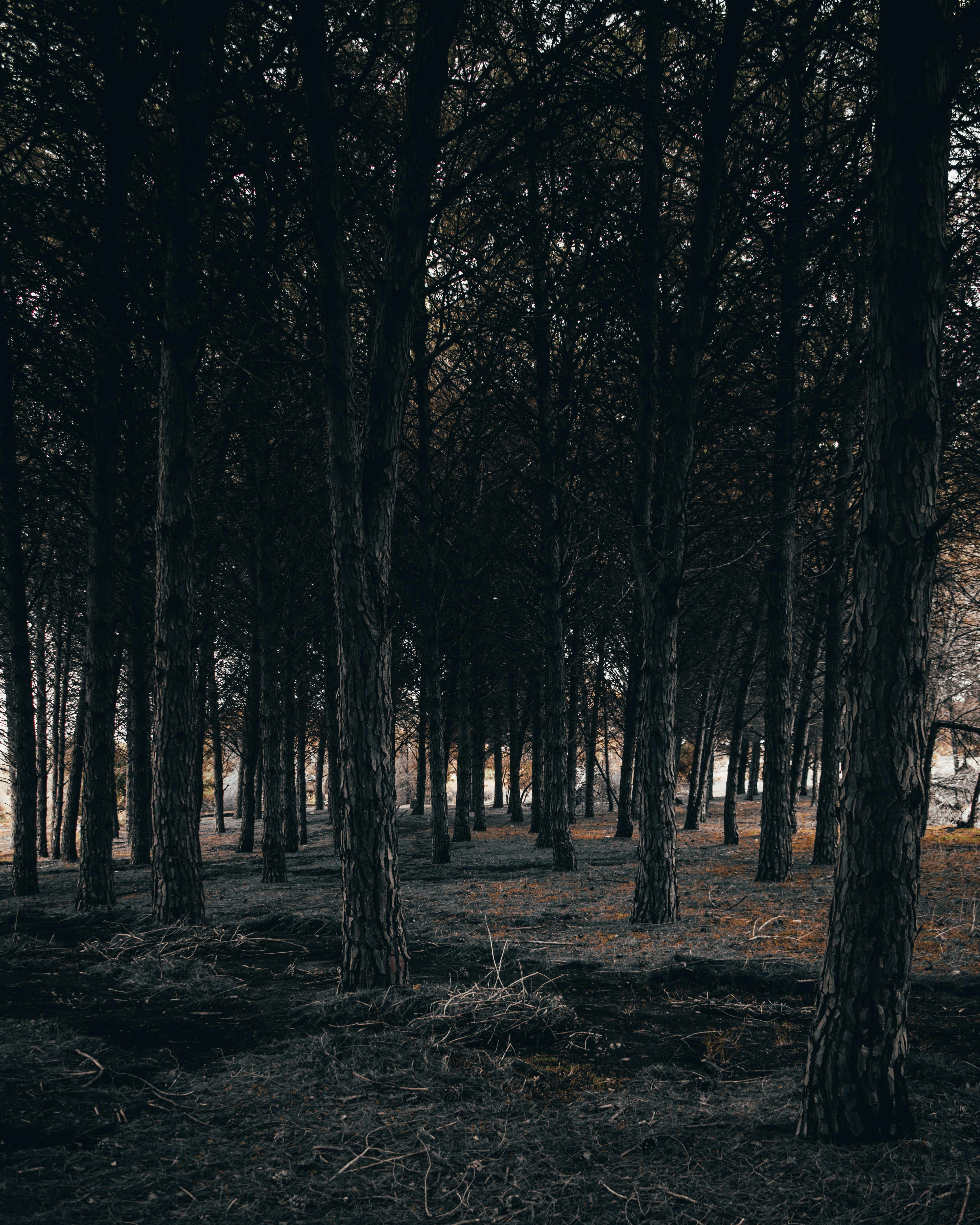 Photo by bilal_ayadi