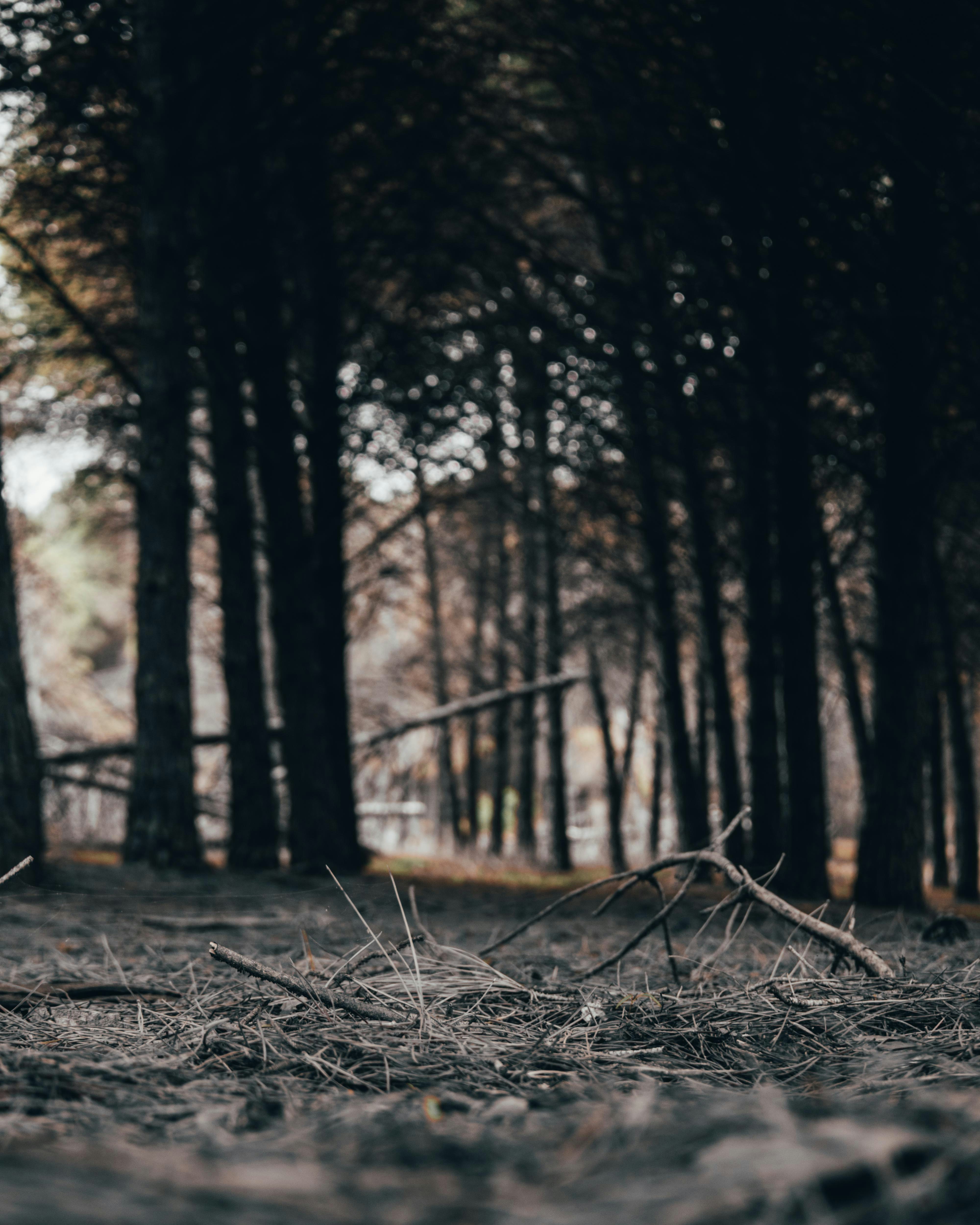 Photo by bilal_ayadi