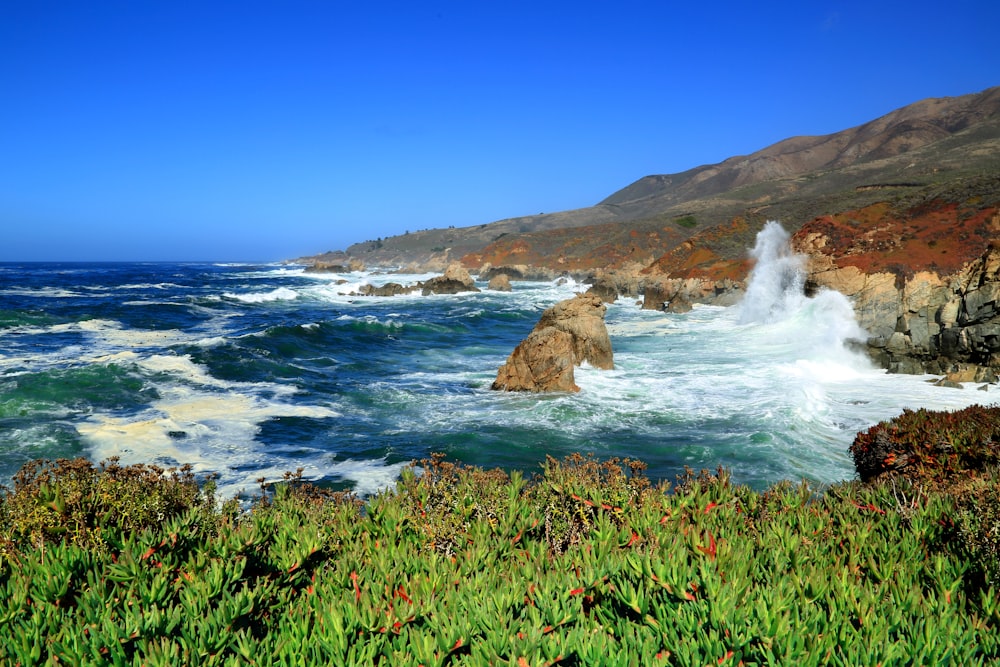 a large body of water surrounded by a lush green hillside