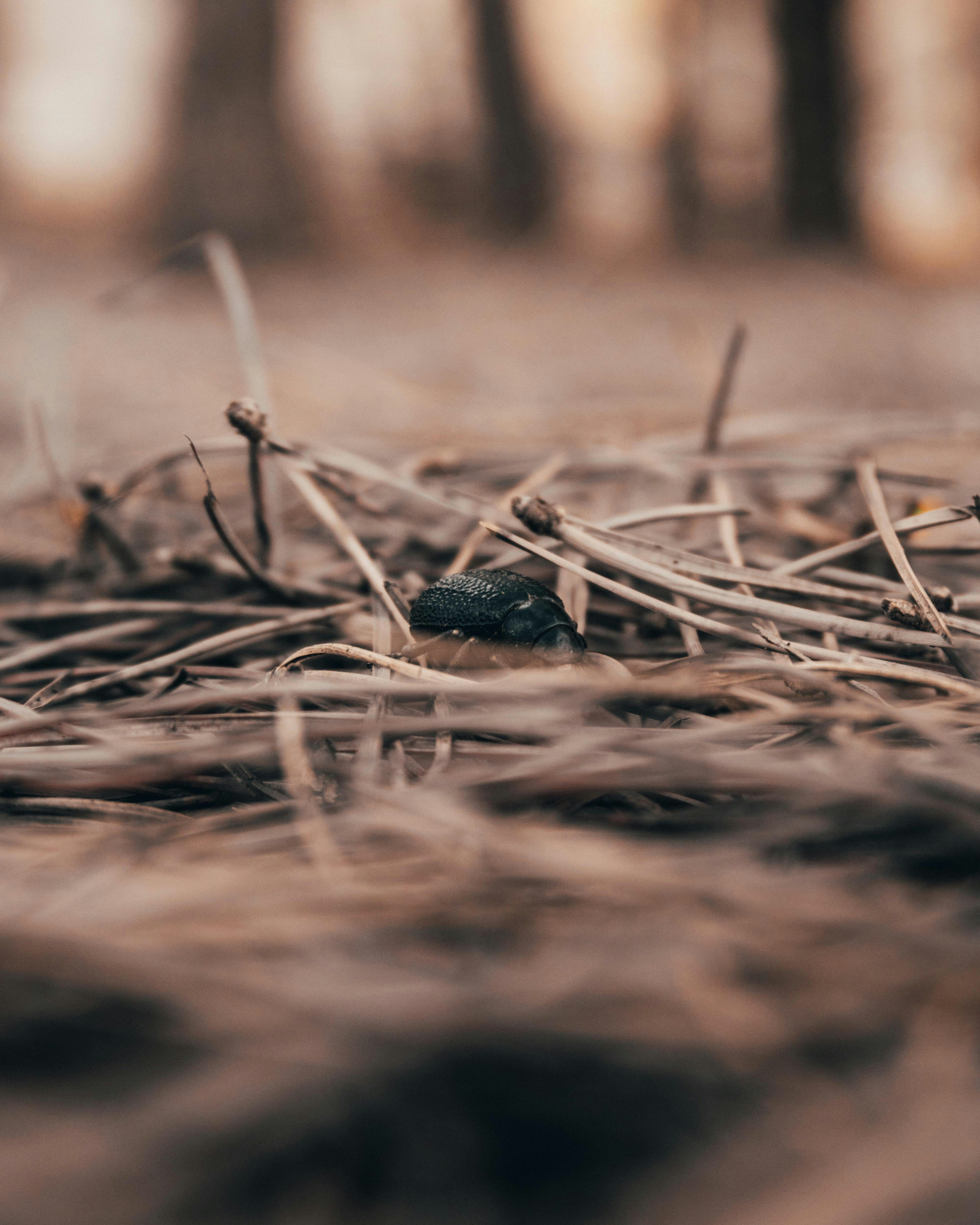 Photo by bilal_ayadi