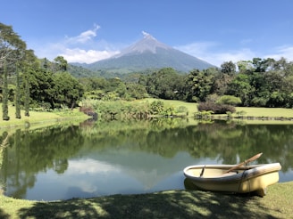 a boat sitting on top of a lake next to a lush green forest