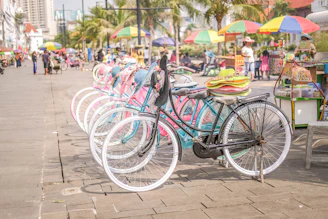 Colorful bicycles lined up on a sandy path surrounded by palm trees.