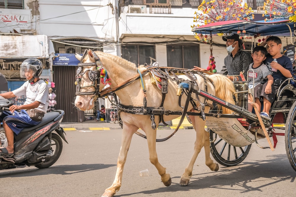 a horse pulling a carriage down a street