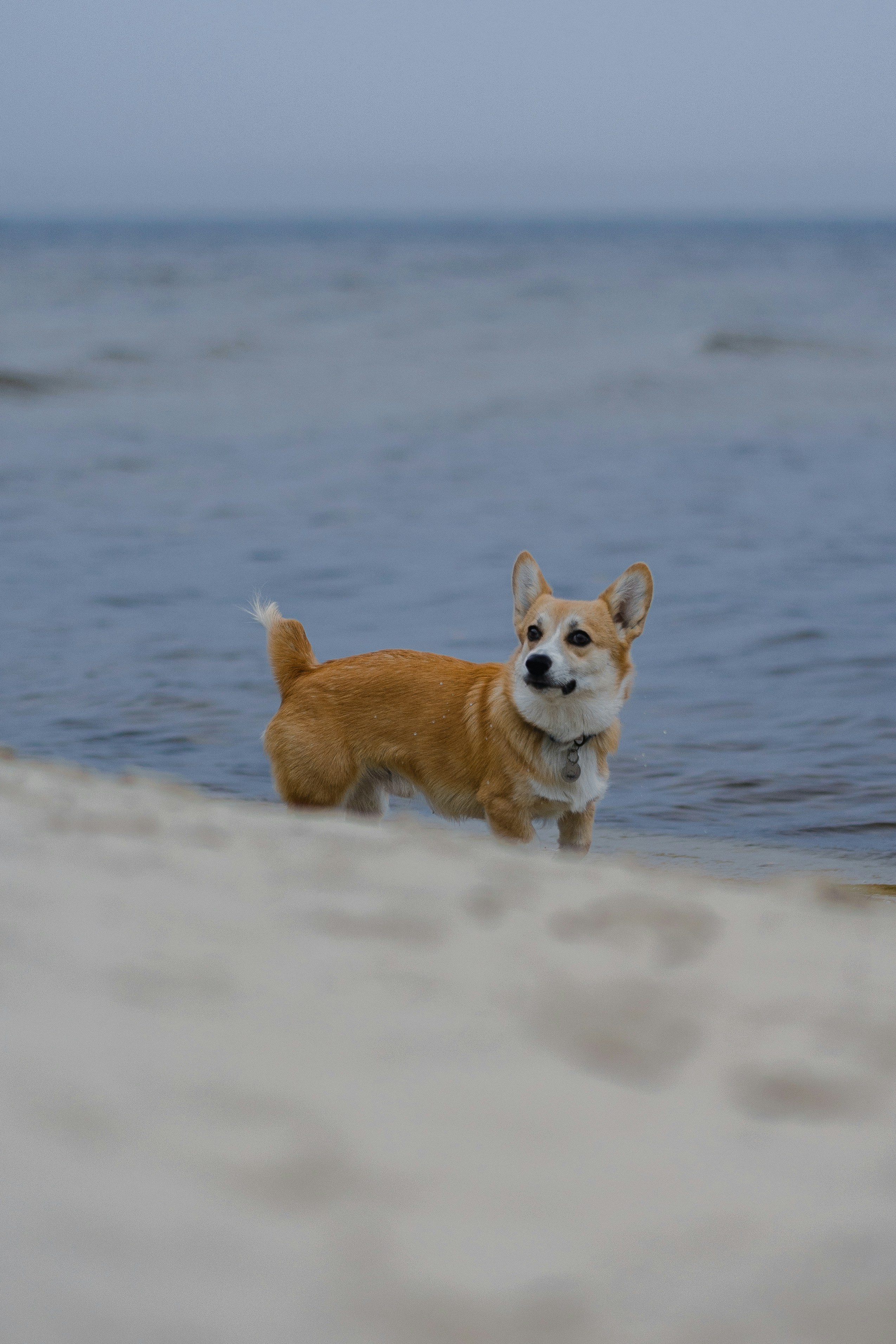 Photo by eugenechystiakov