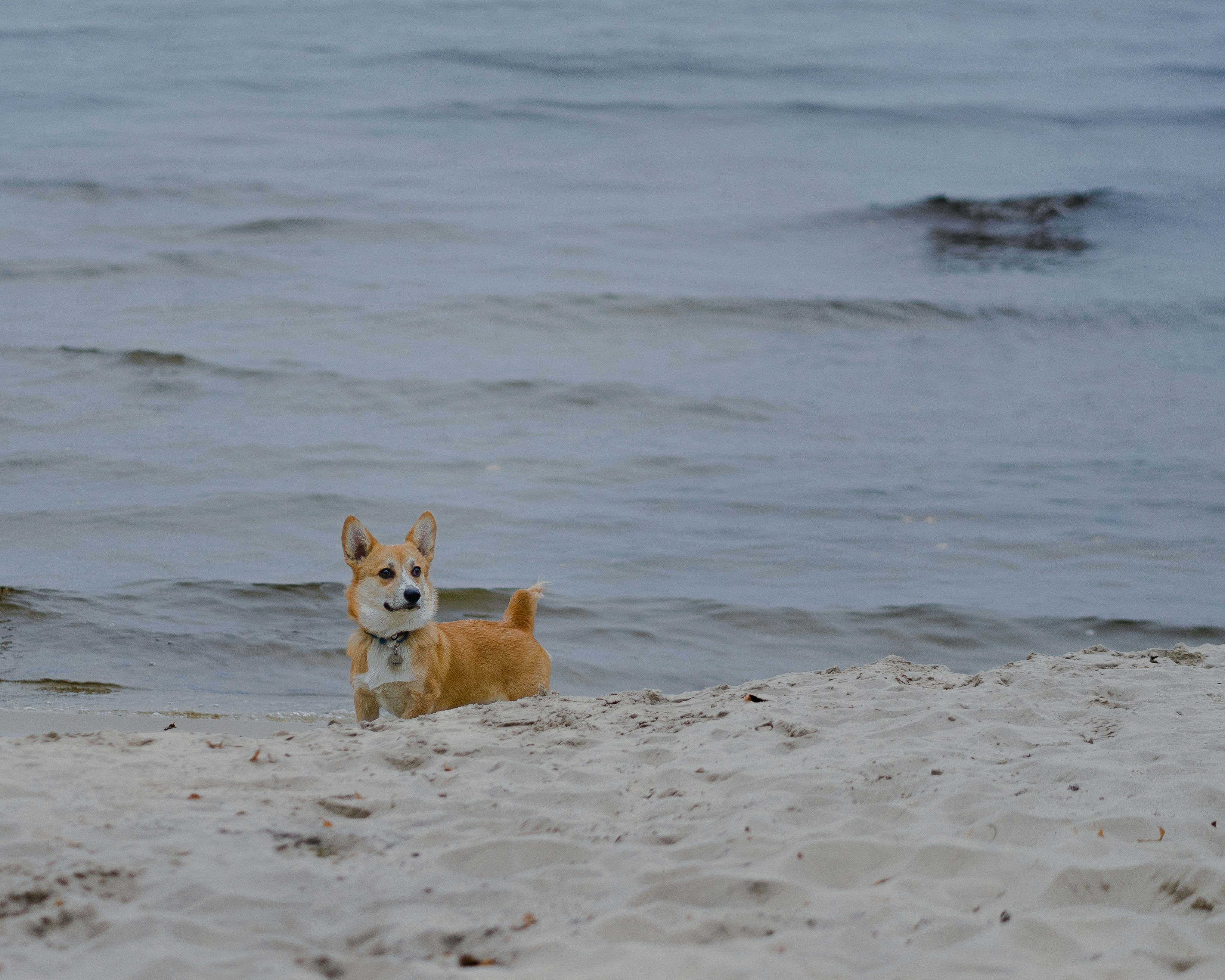 Photo by eugenechystiakov