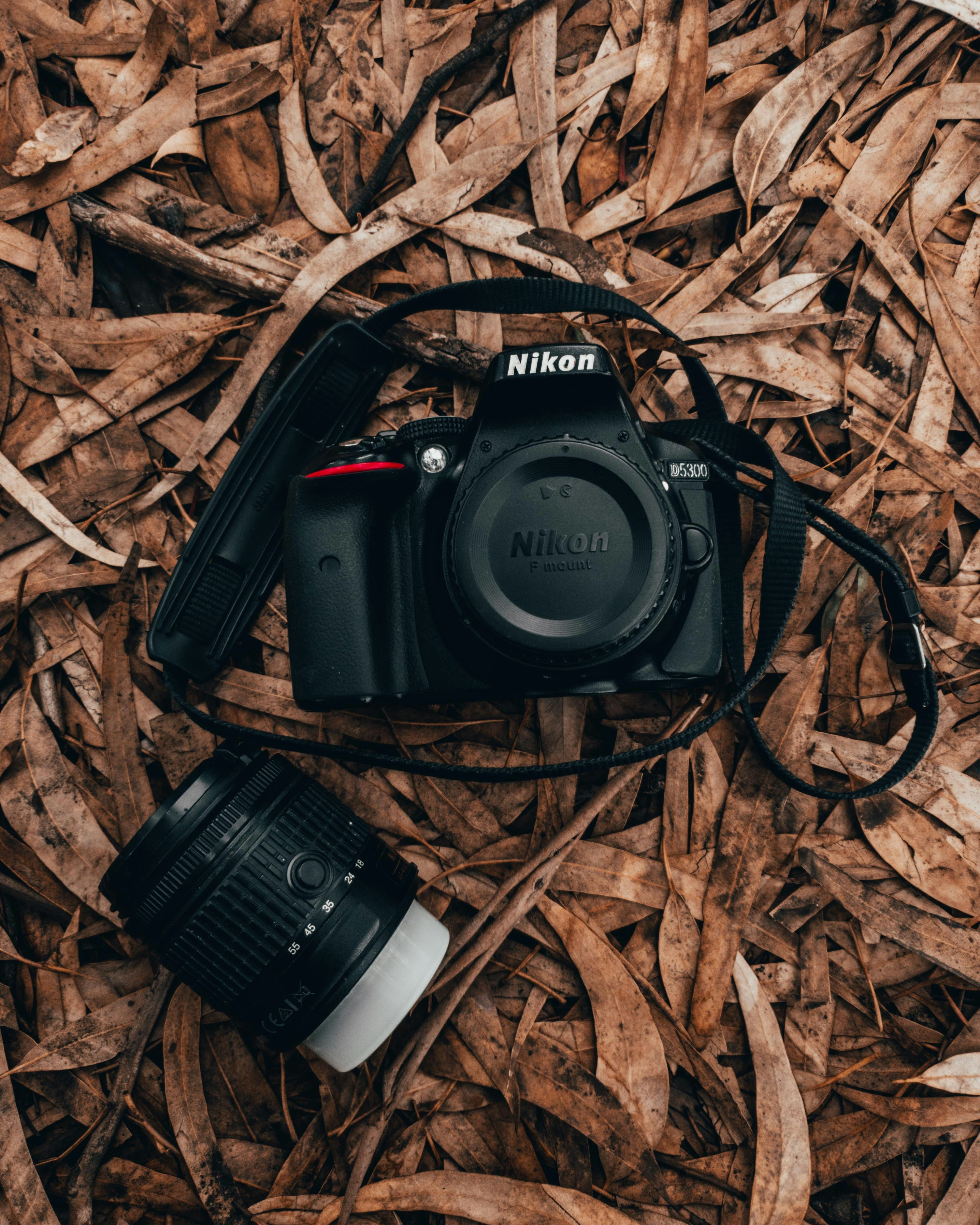 Photo by bilal_ayadi