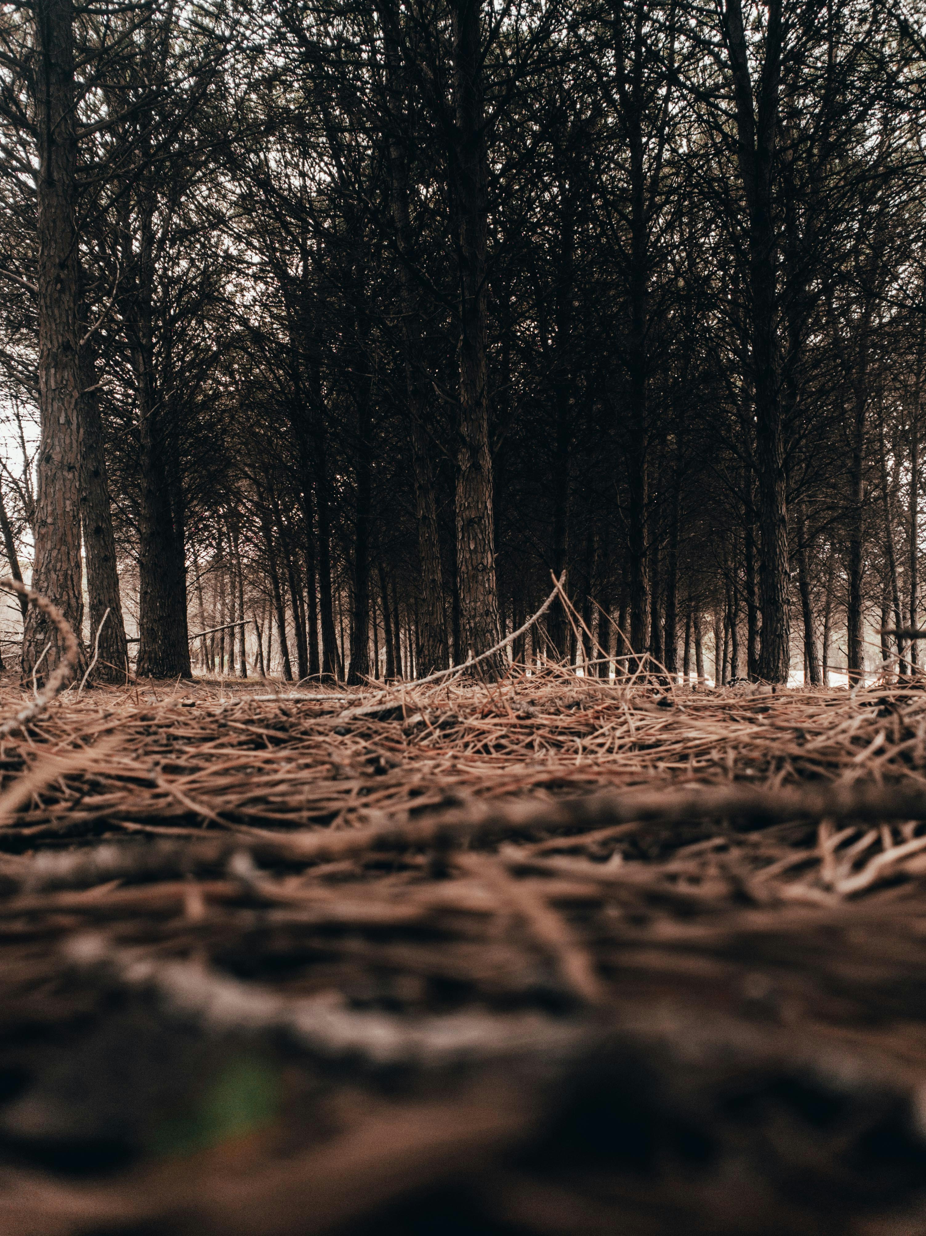 Photo by bilal_ayadi