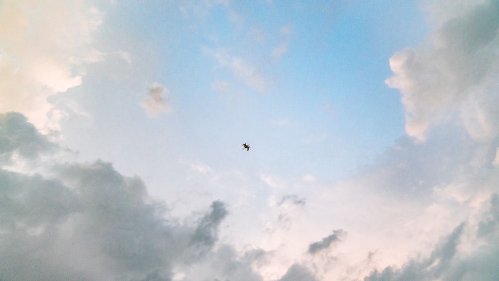 a bird flying through a cloudy blue sky