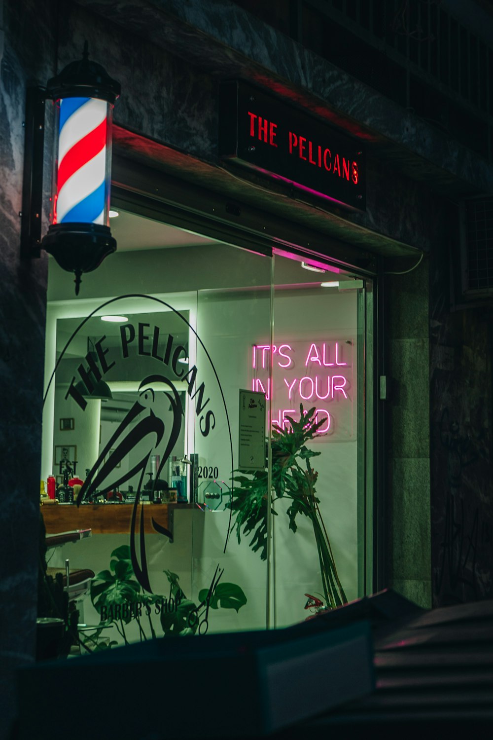 a store front with a neon sign and a potted plant