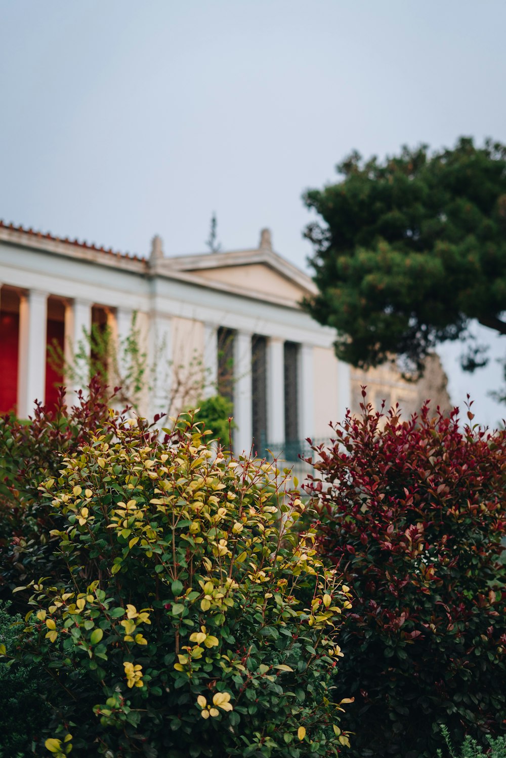 a close up of a flower garden in front of a building