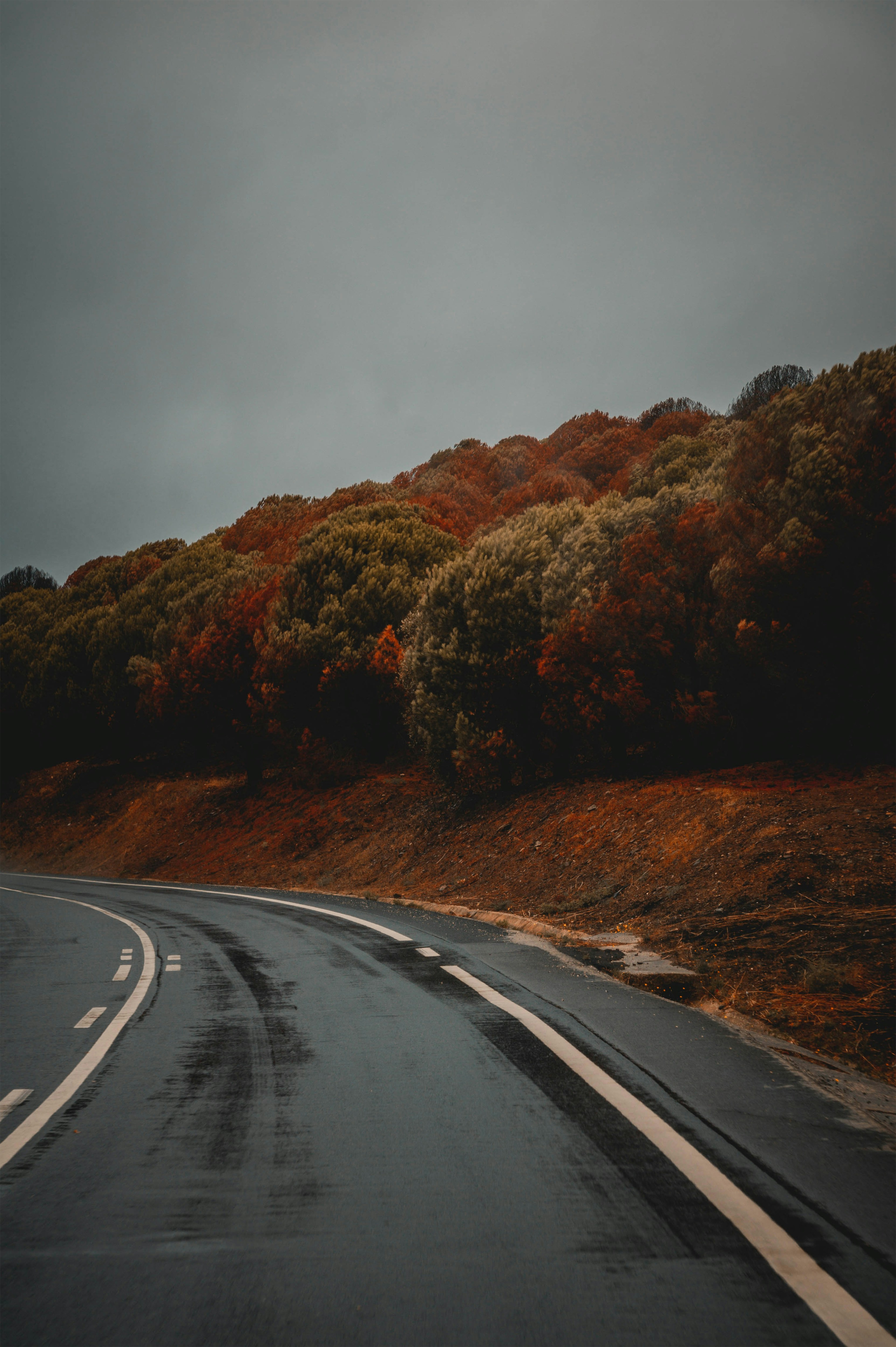 Photo by geikeverniers