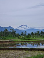A picturesque view of the lush countryside in Myanmar.