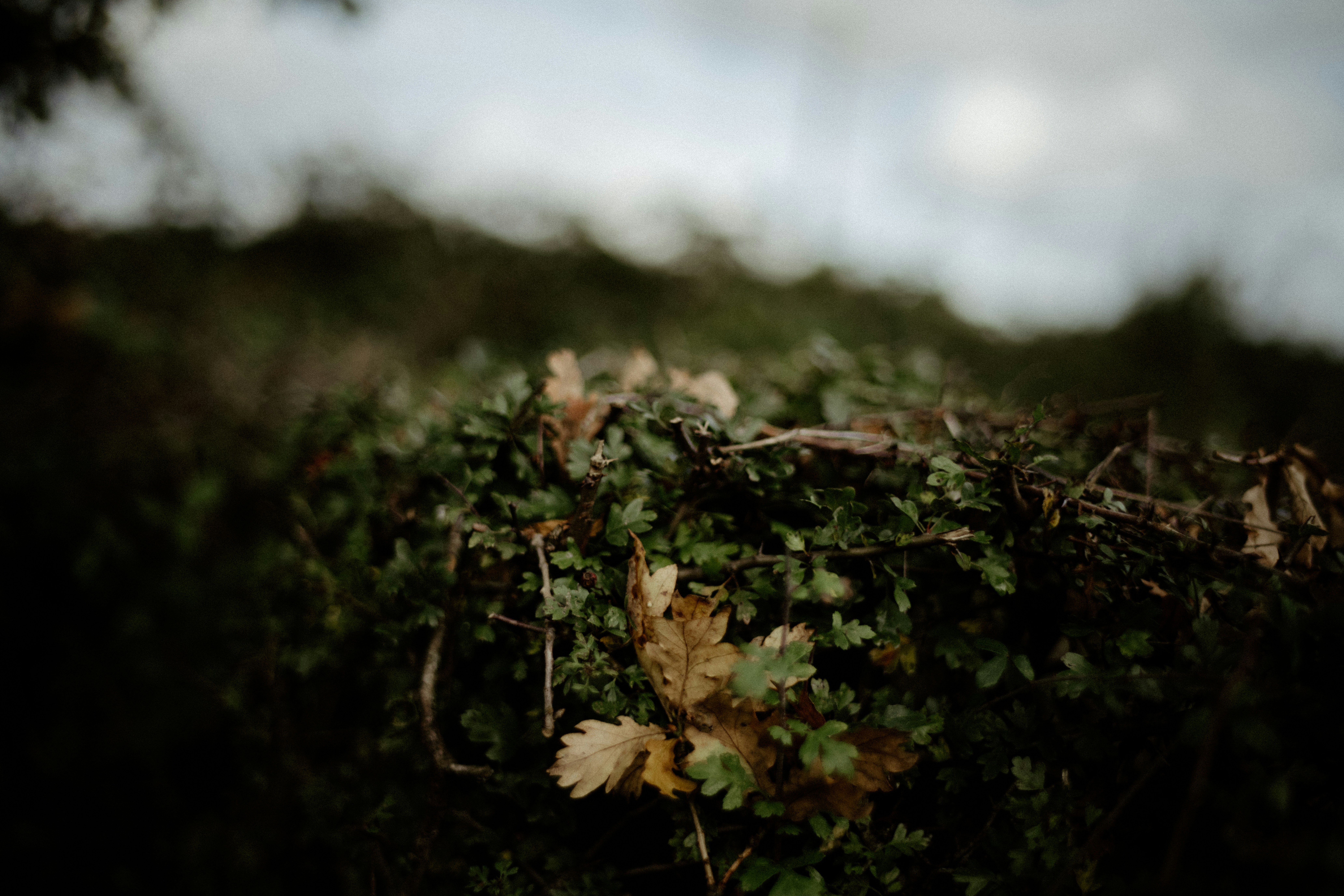 Photo by anniespratt