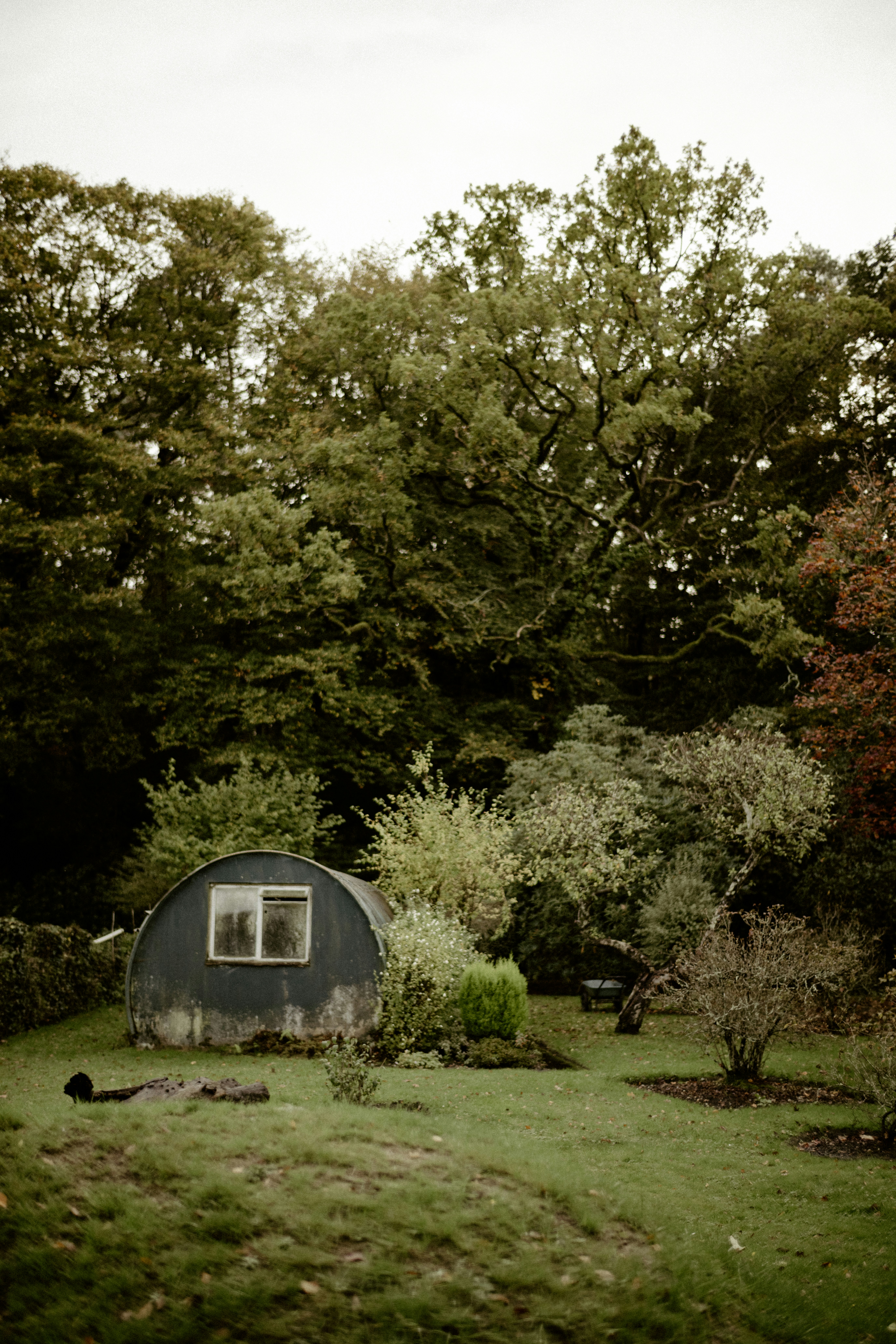 Photo by anniespratt