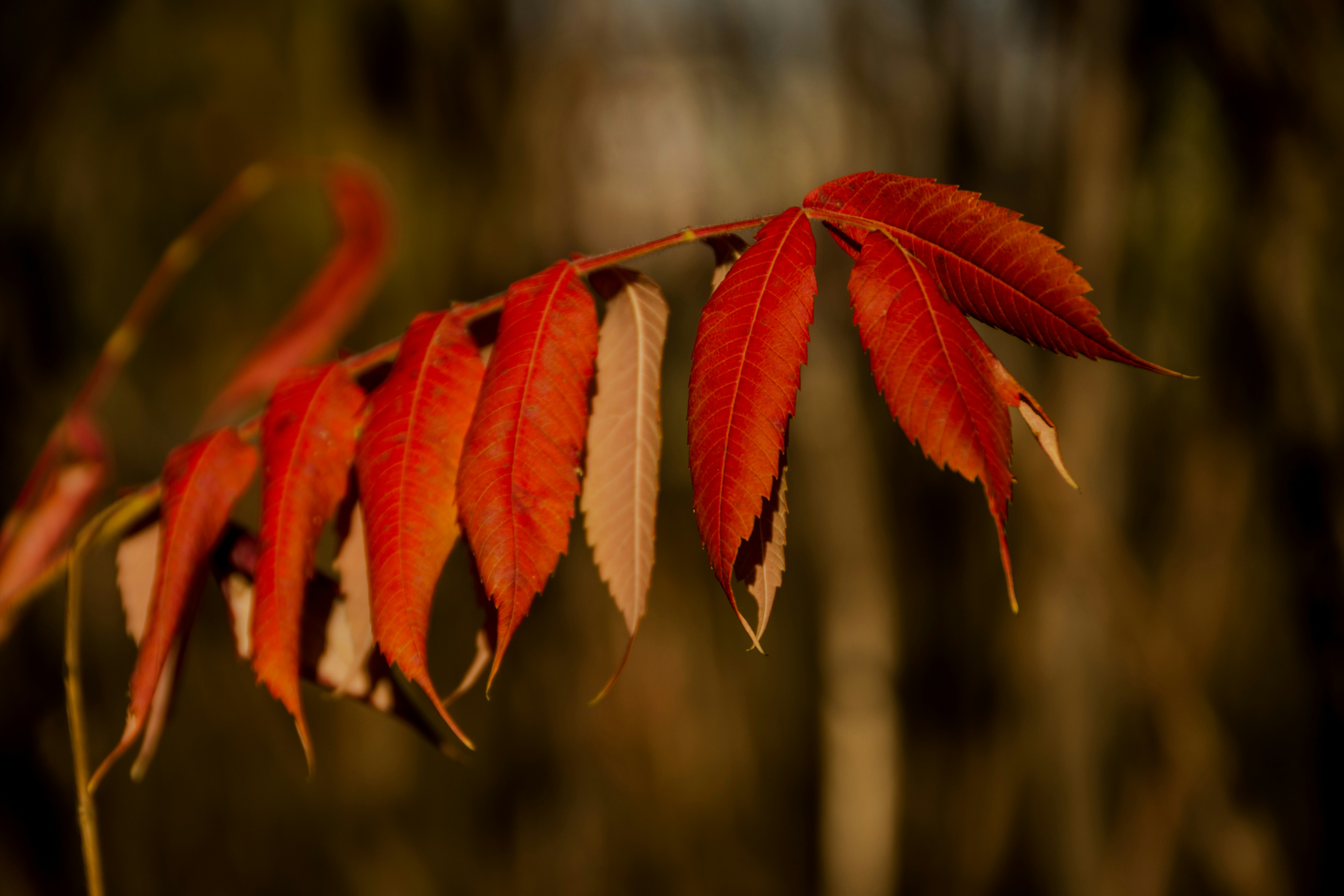 Photo by motaztawfik