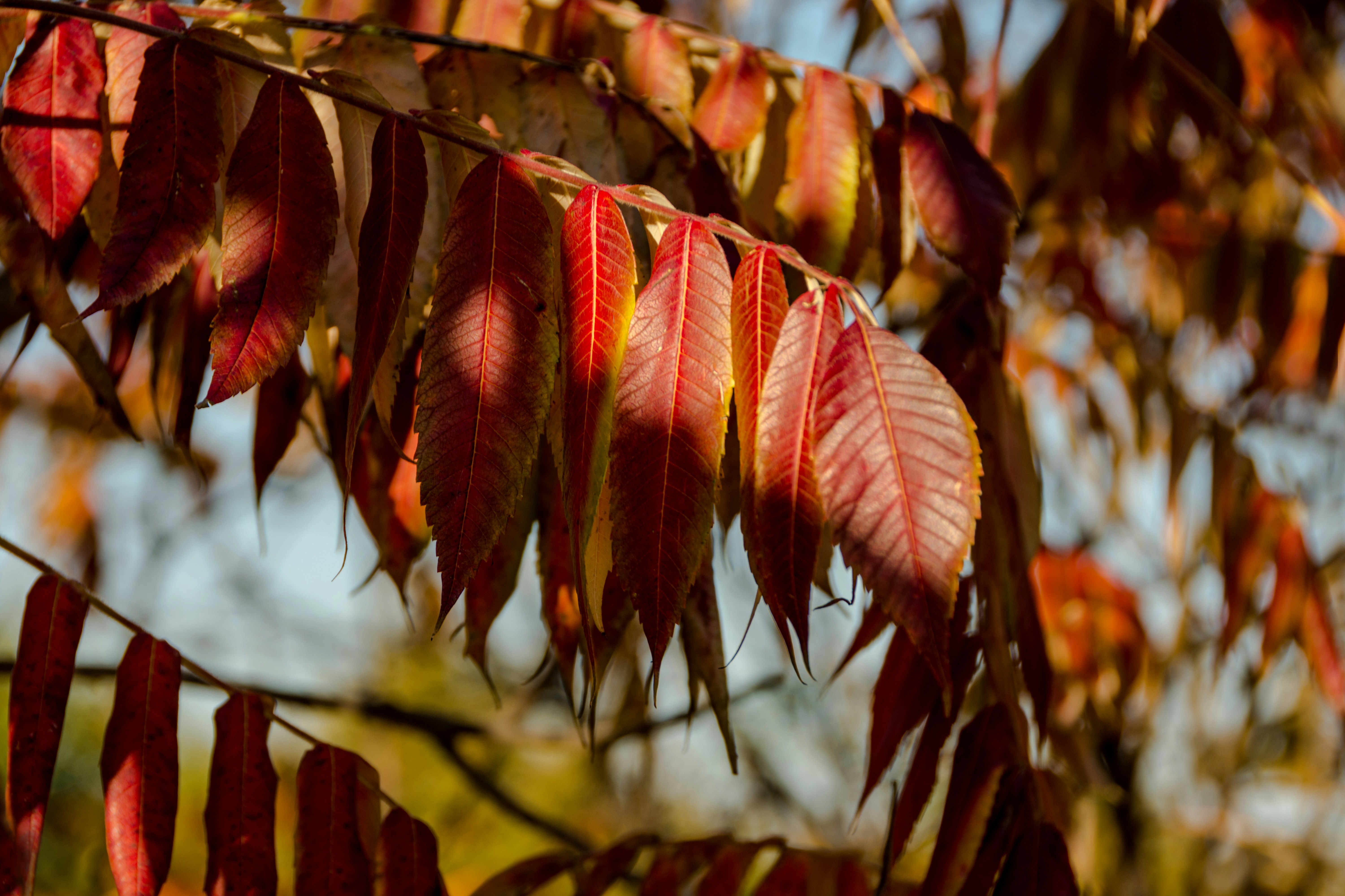 Photo by motaztawfik