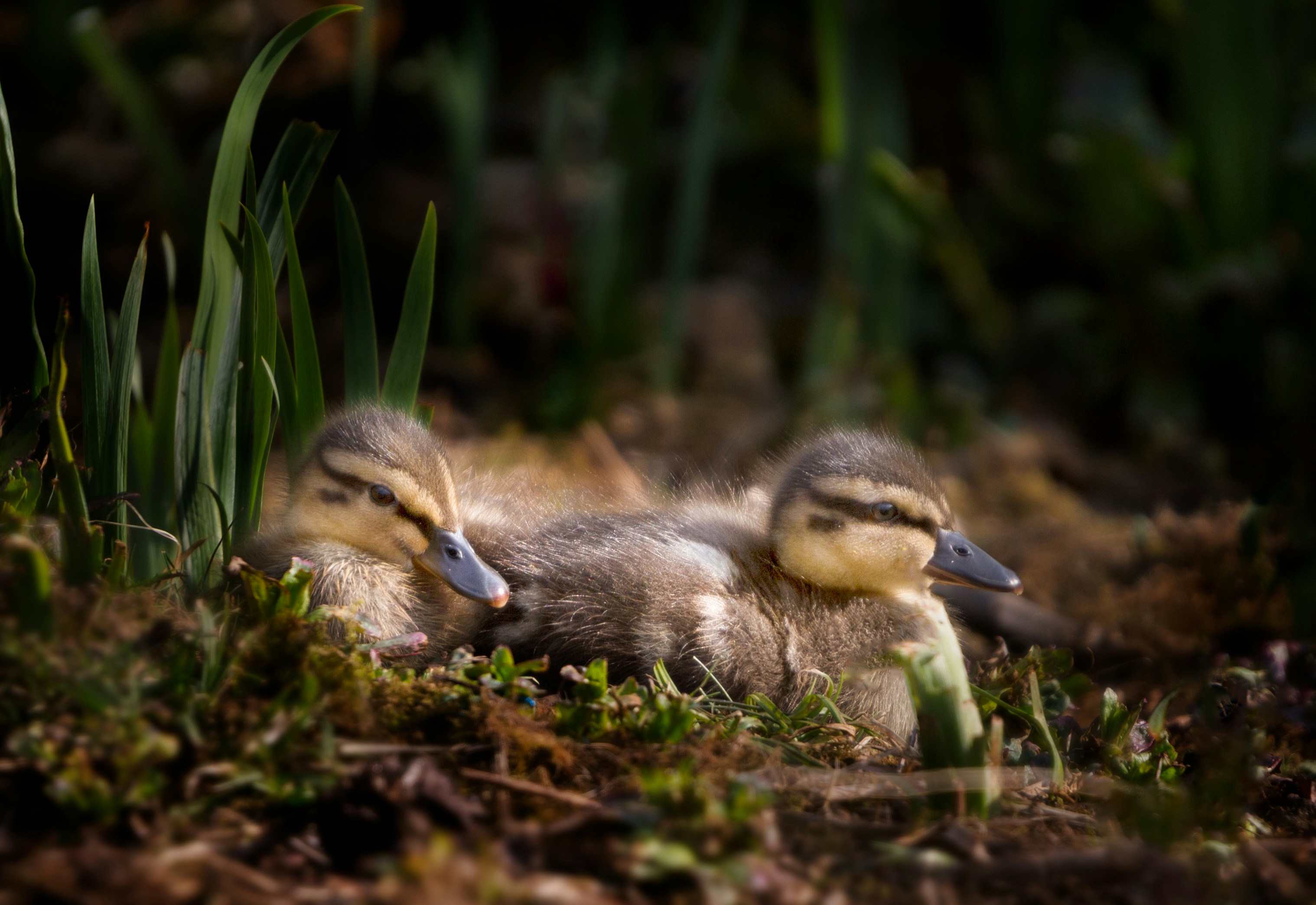 Photo by victoriawelton