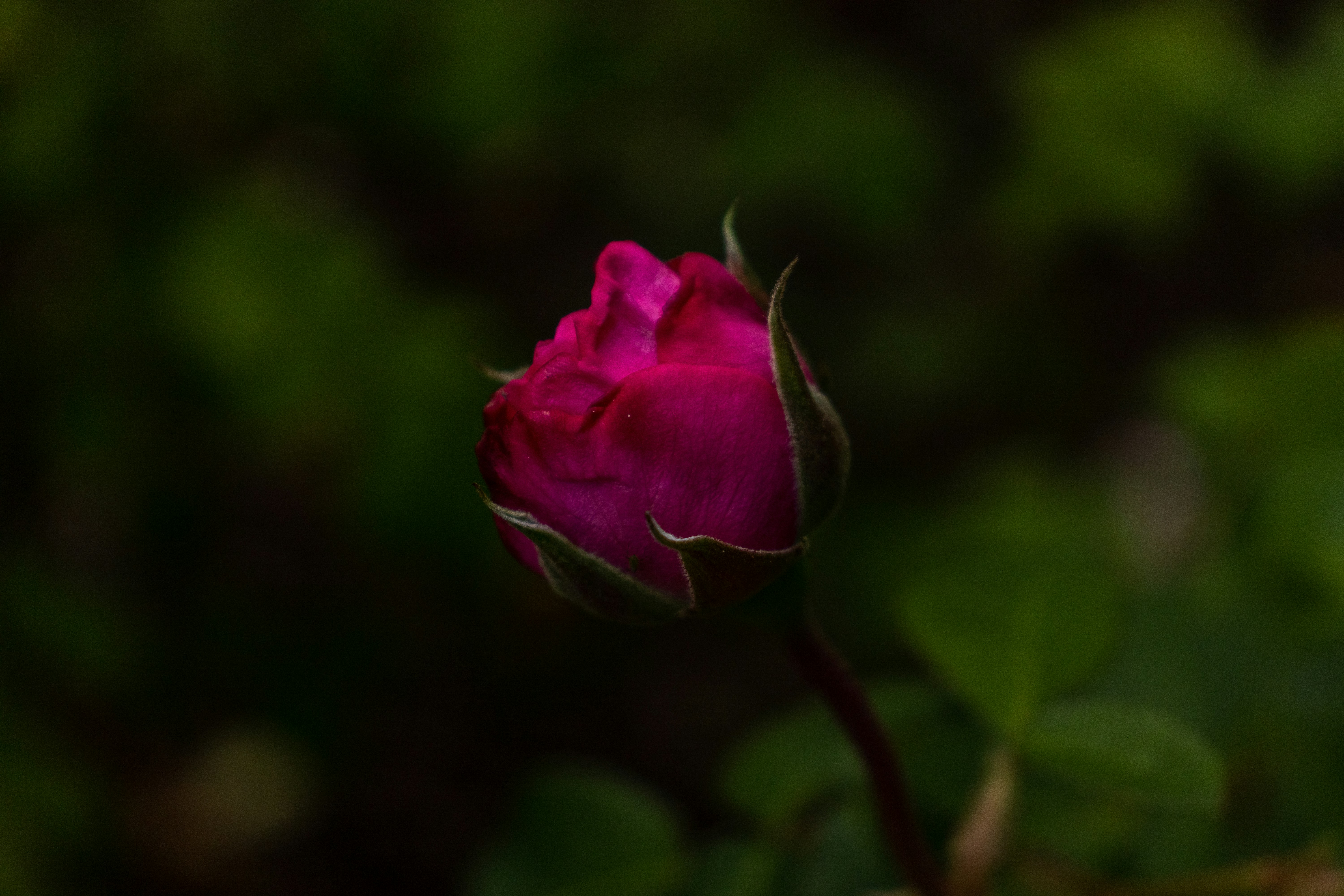 Photo by pokornymichal