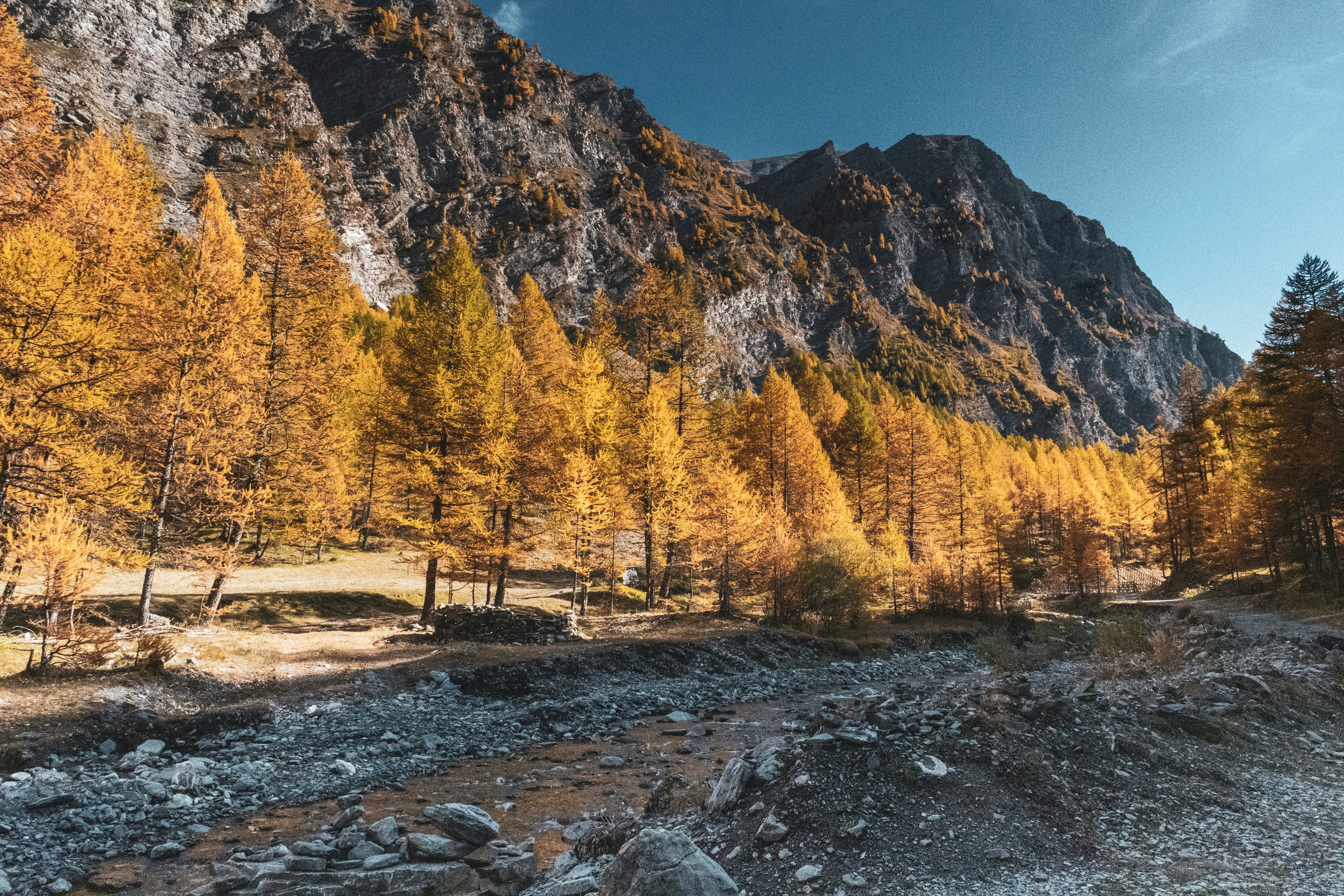 Photo by clemencetaillez