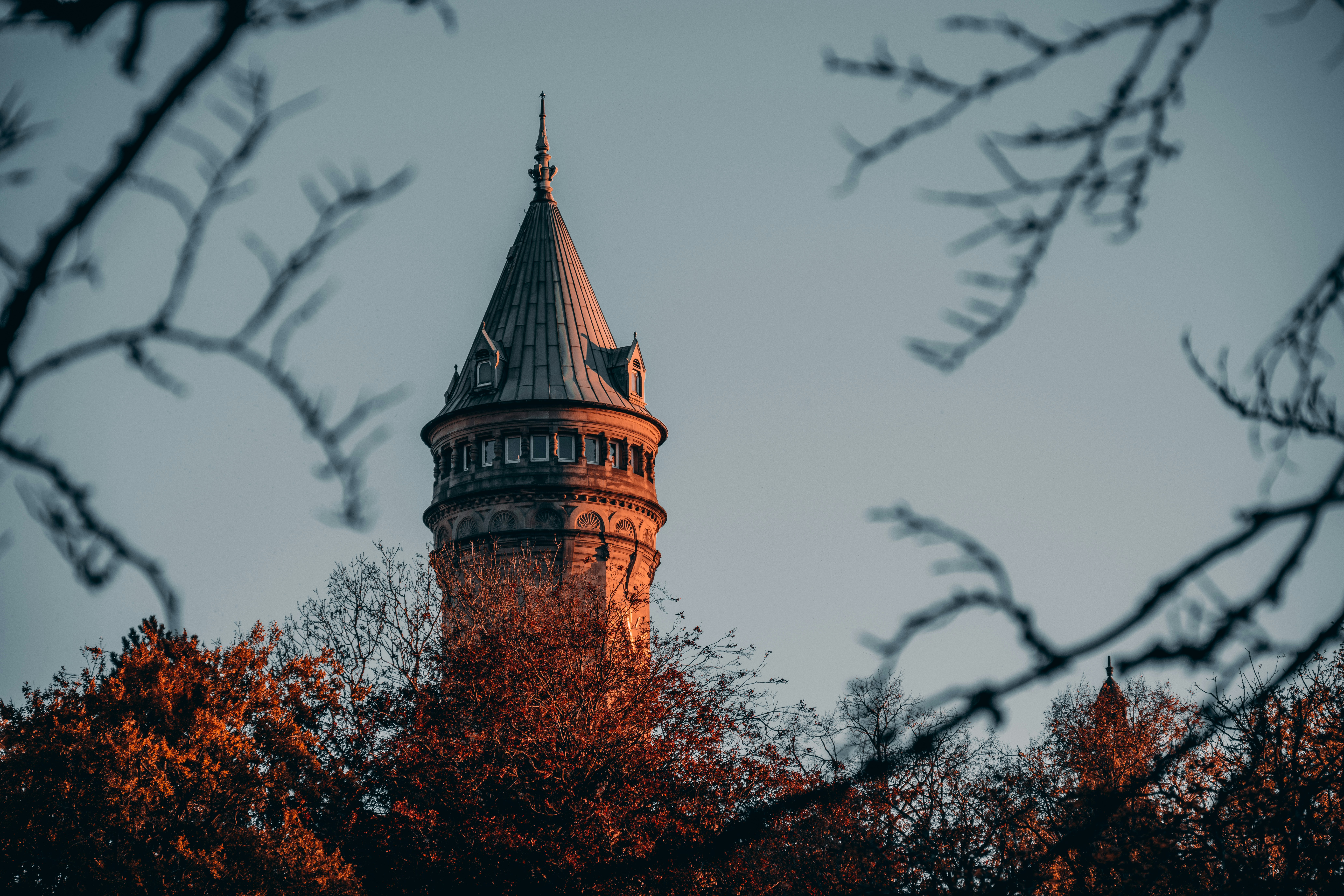 Photo by gabor_koszegi