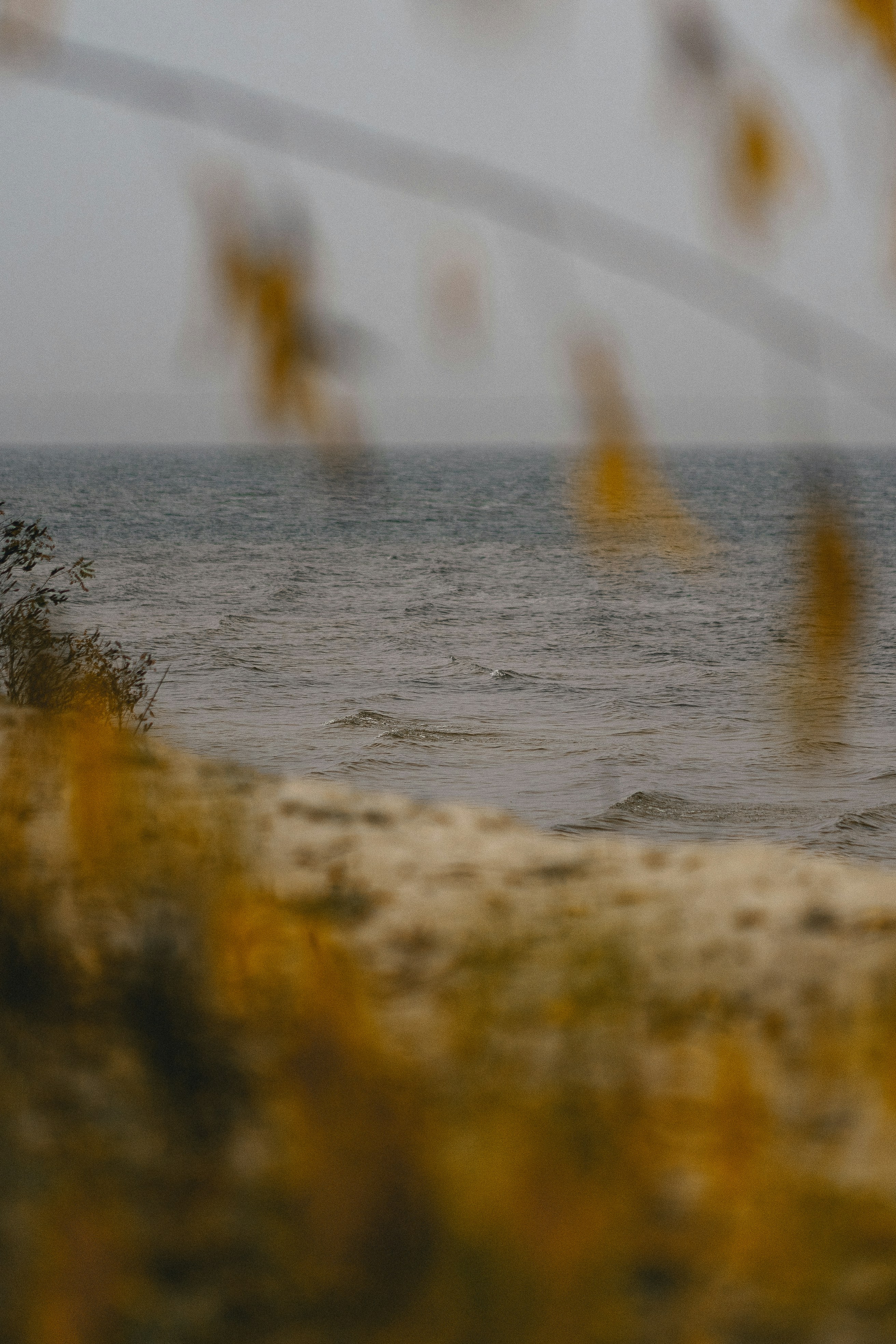 Photo by eugenechystiakov