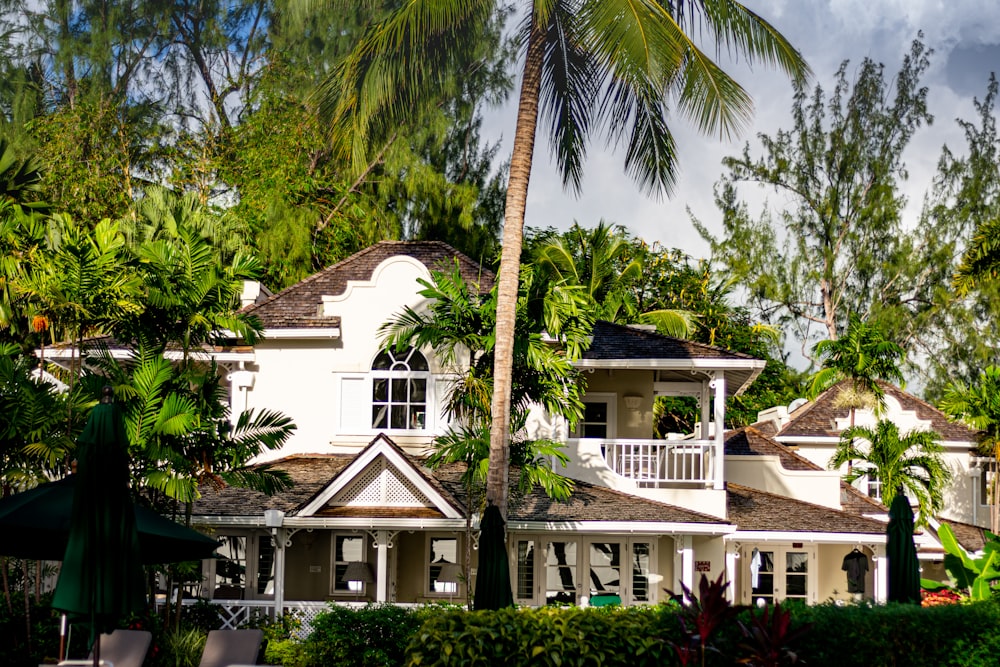 a white house with a palm tree in front of it