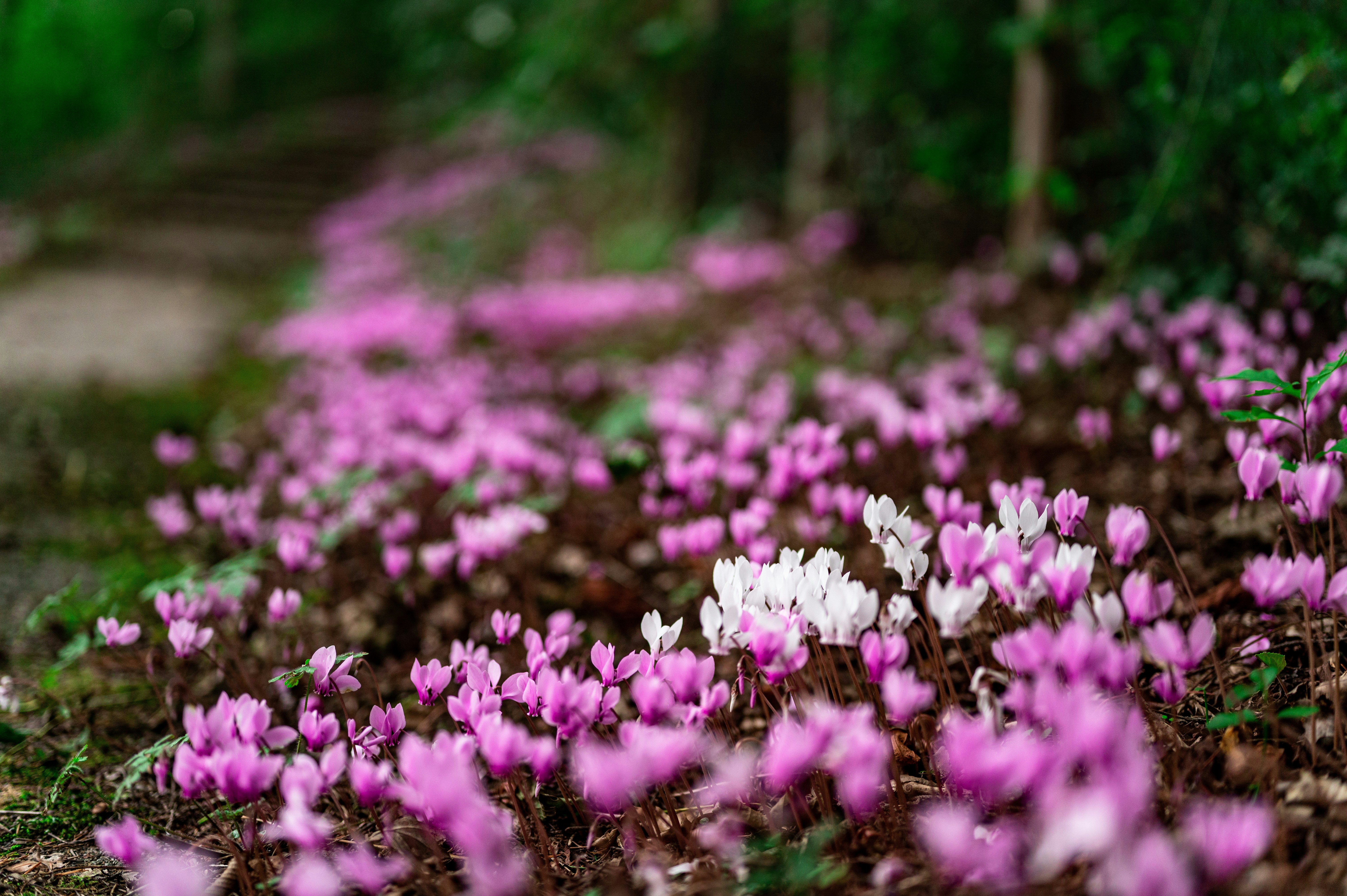 Photo by andreasbrun