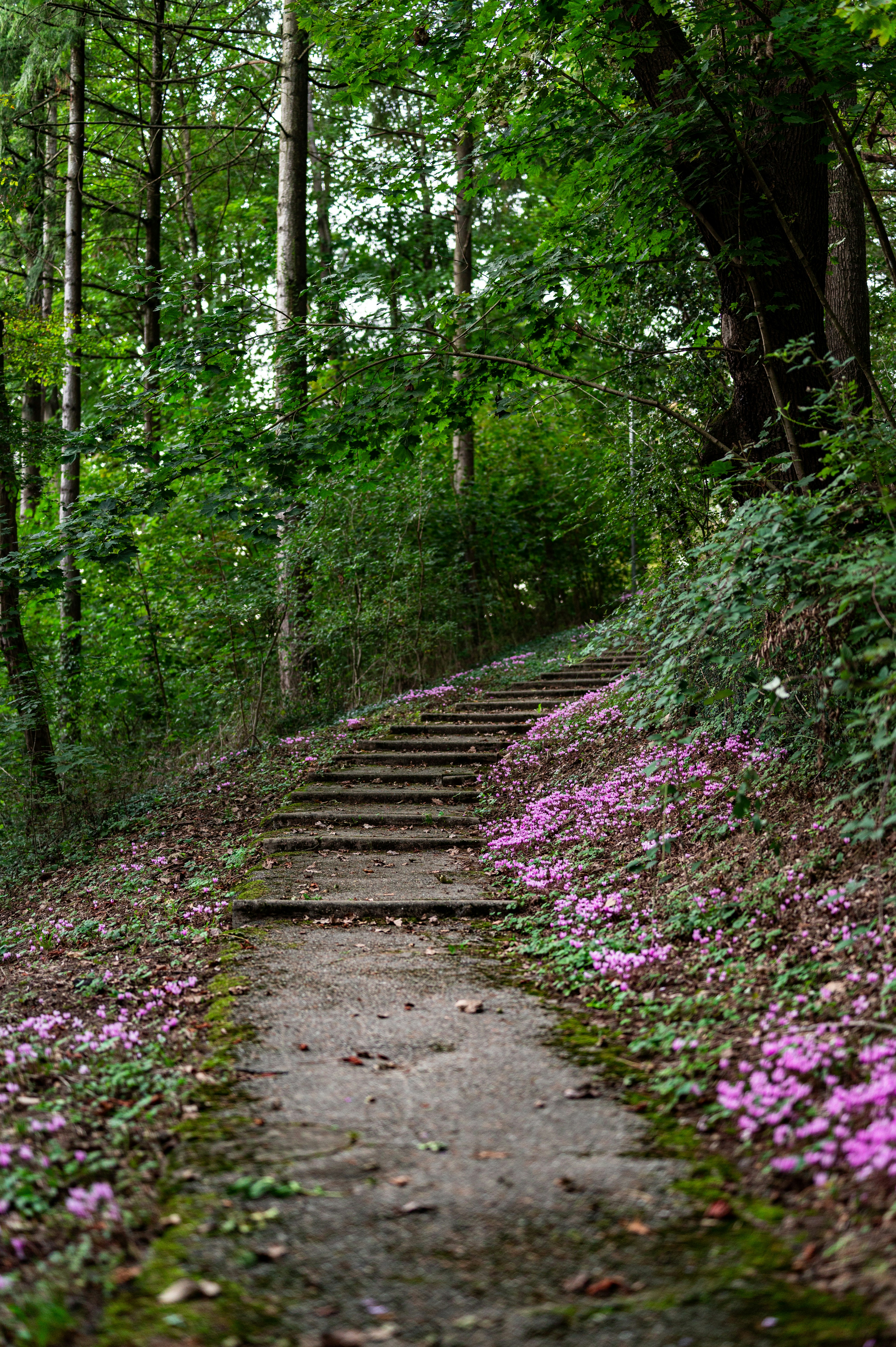 Photo by andreasbrun