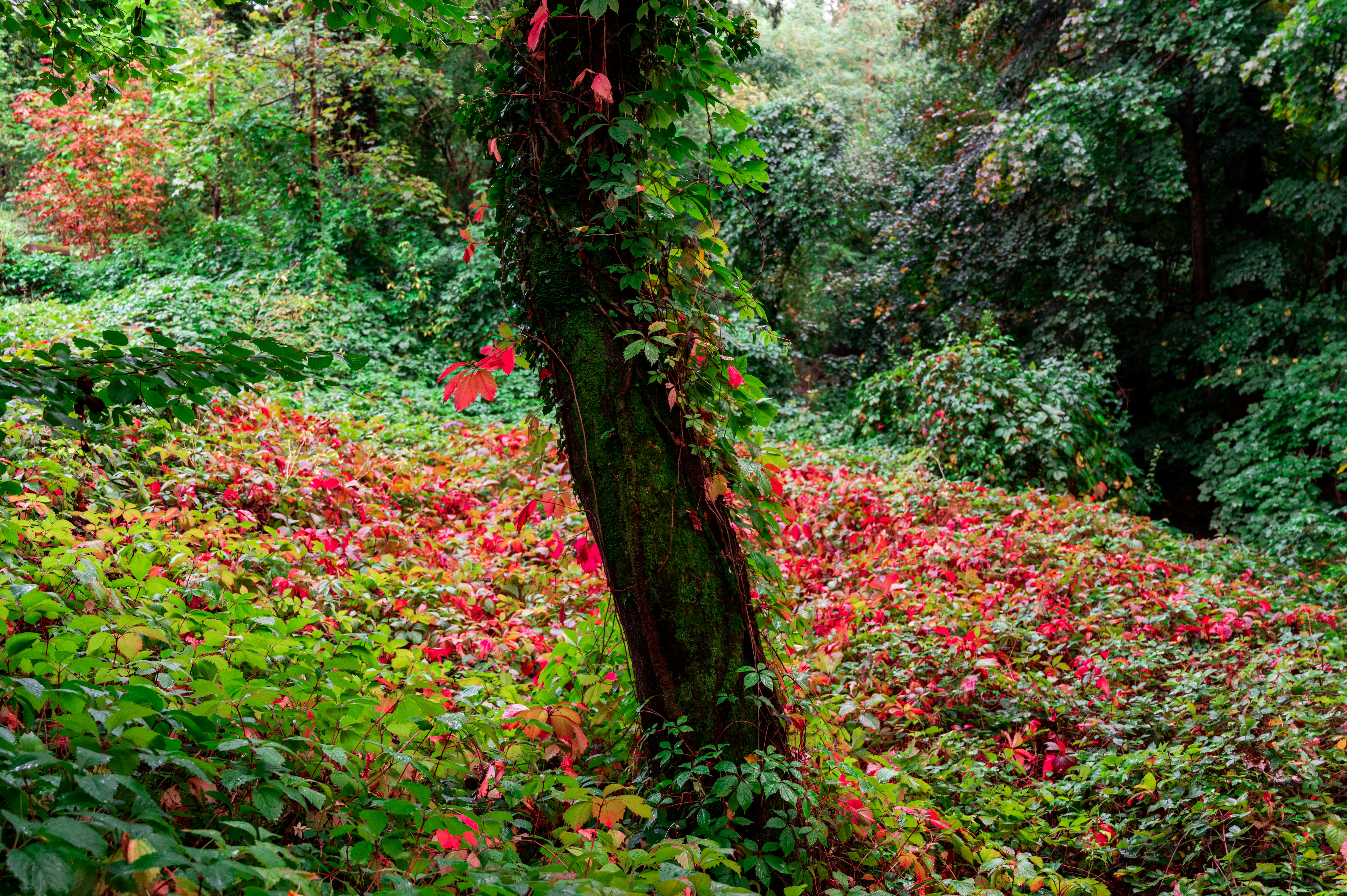 Photo by andreasbrun