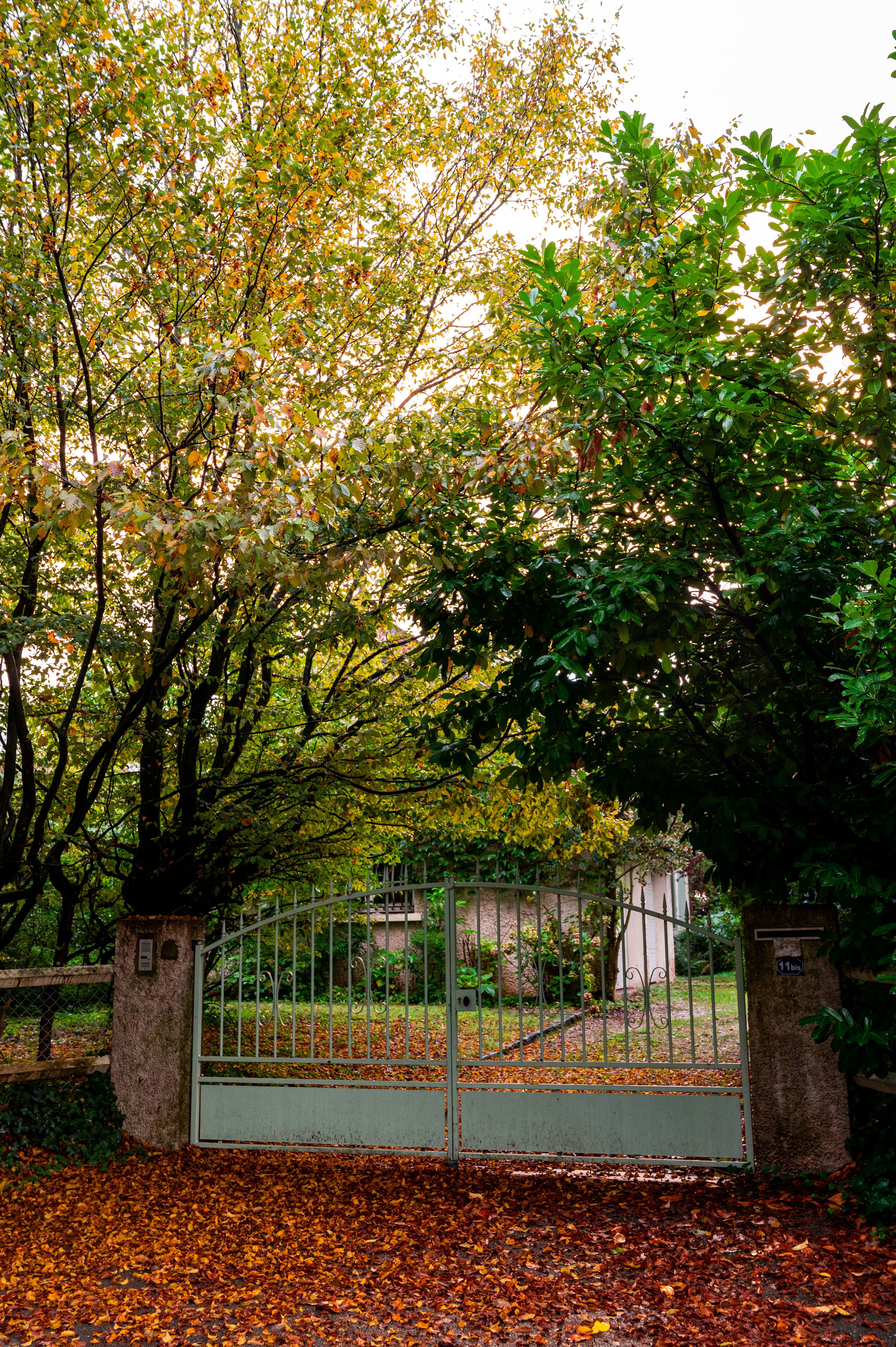 Photo by andreasbrun