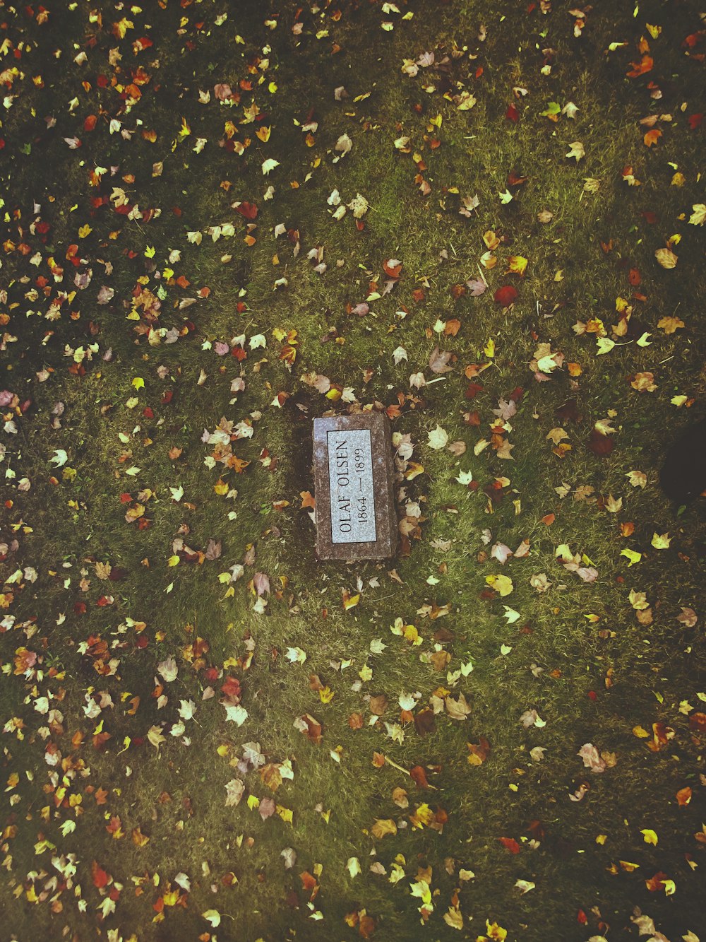 a grave in the middle of a field of leaves