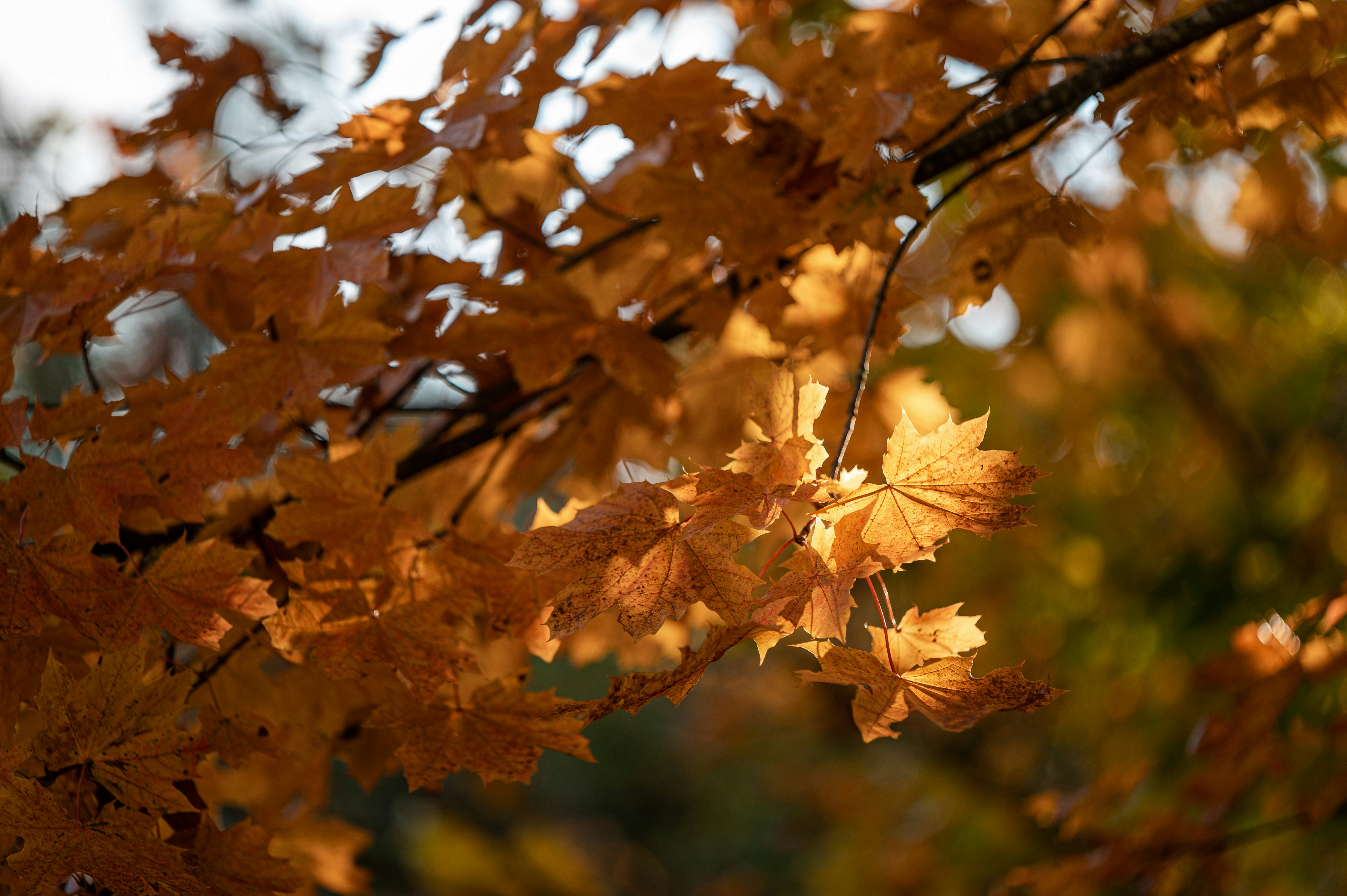 Photo by andreasbrun