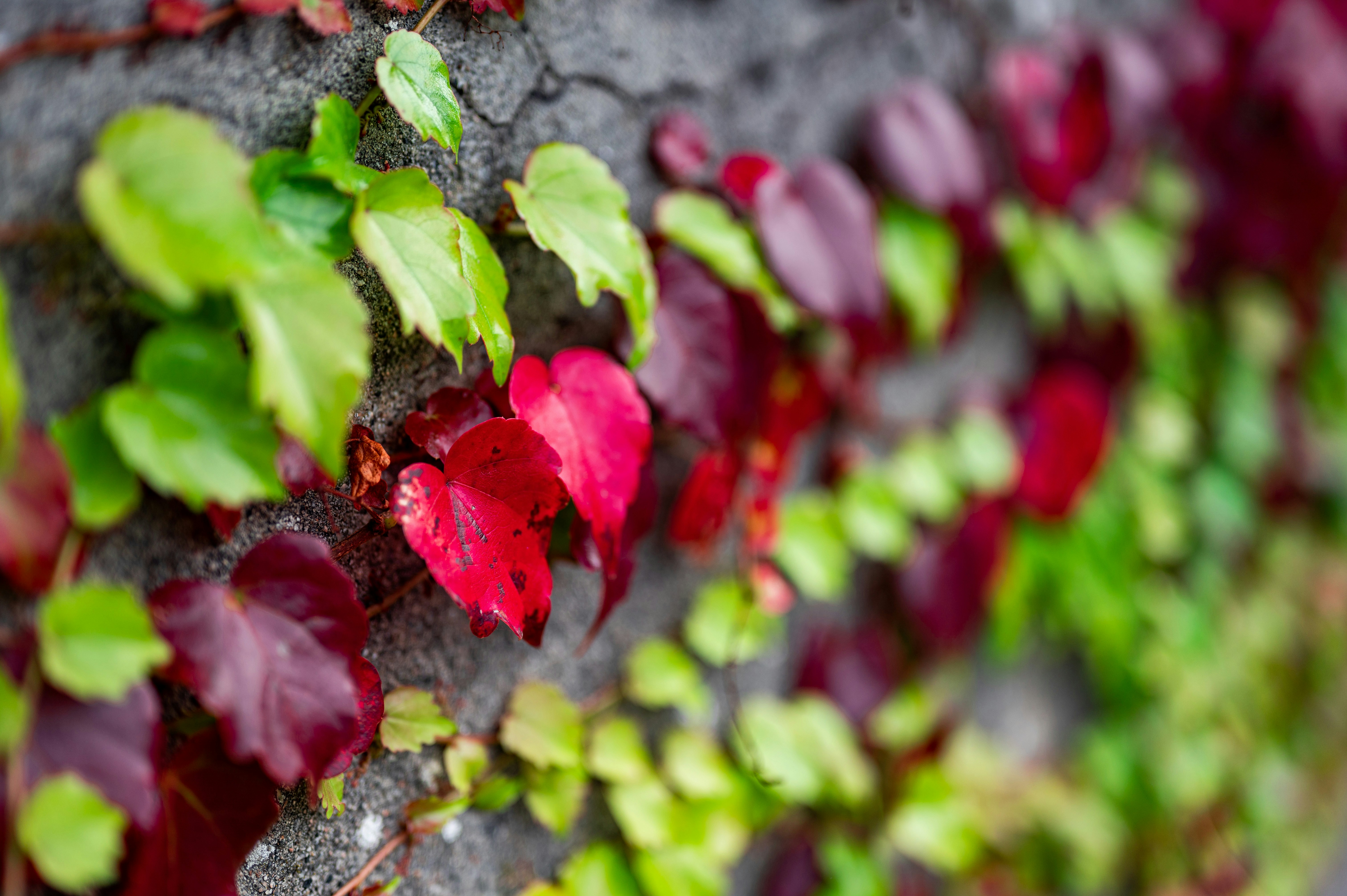 Photo by andreasbrun