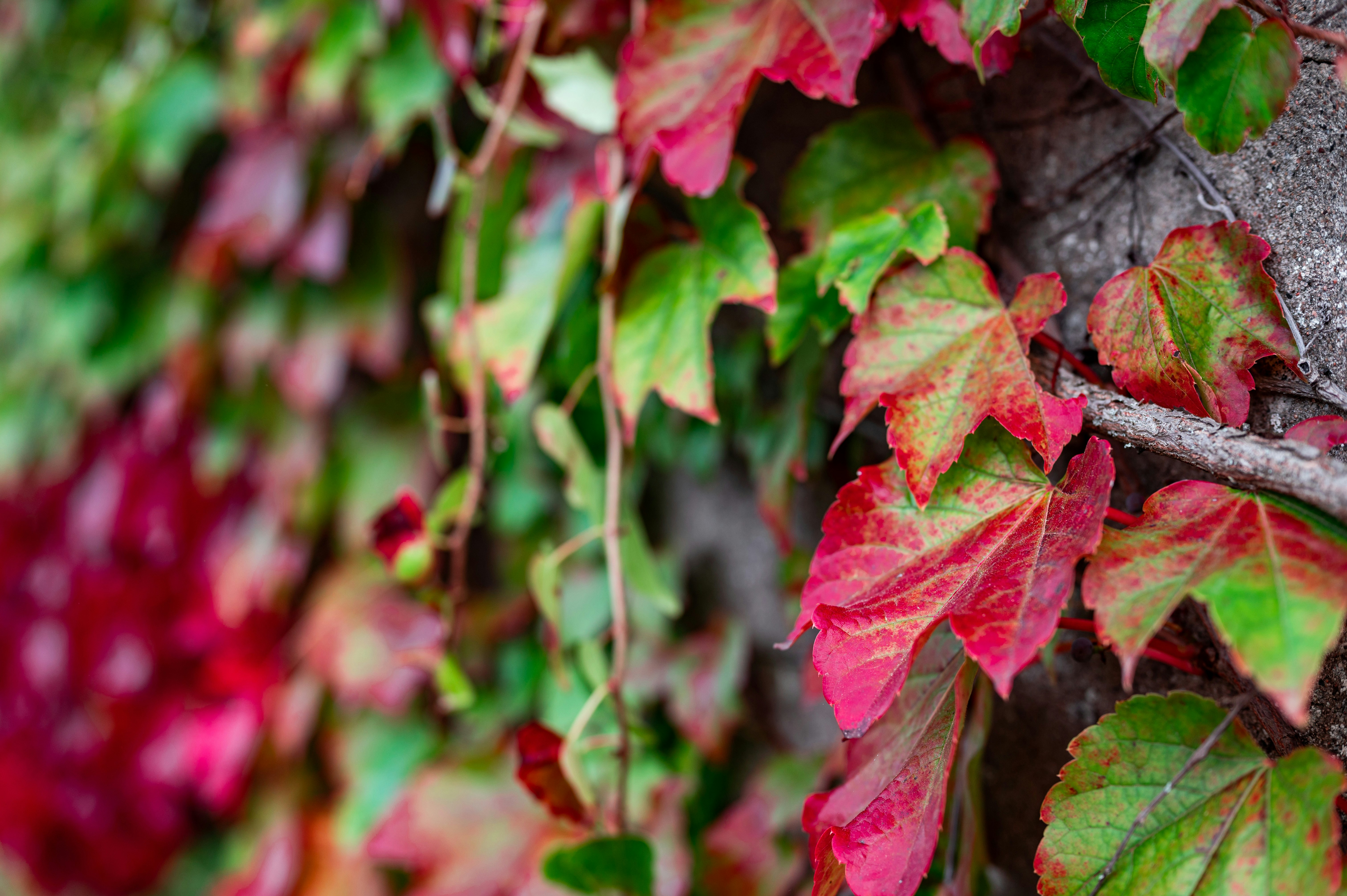 Photo by andreasbrun