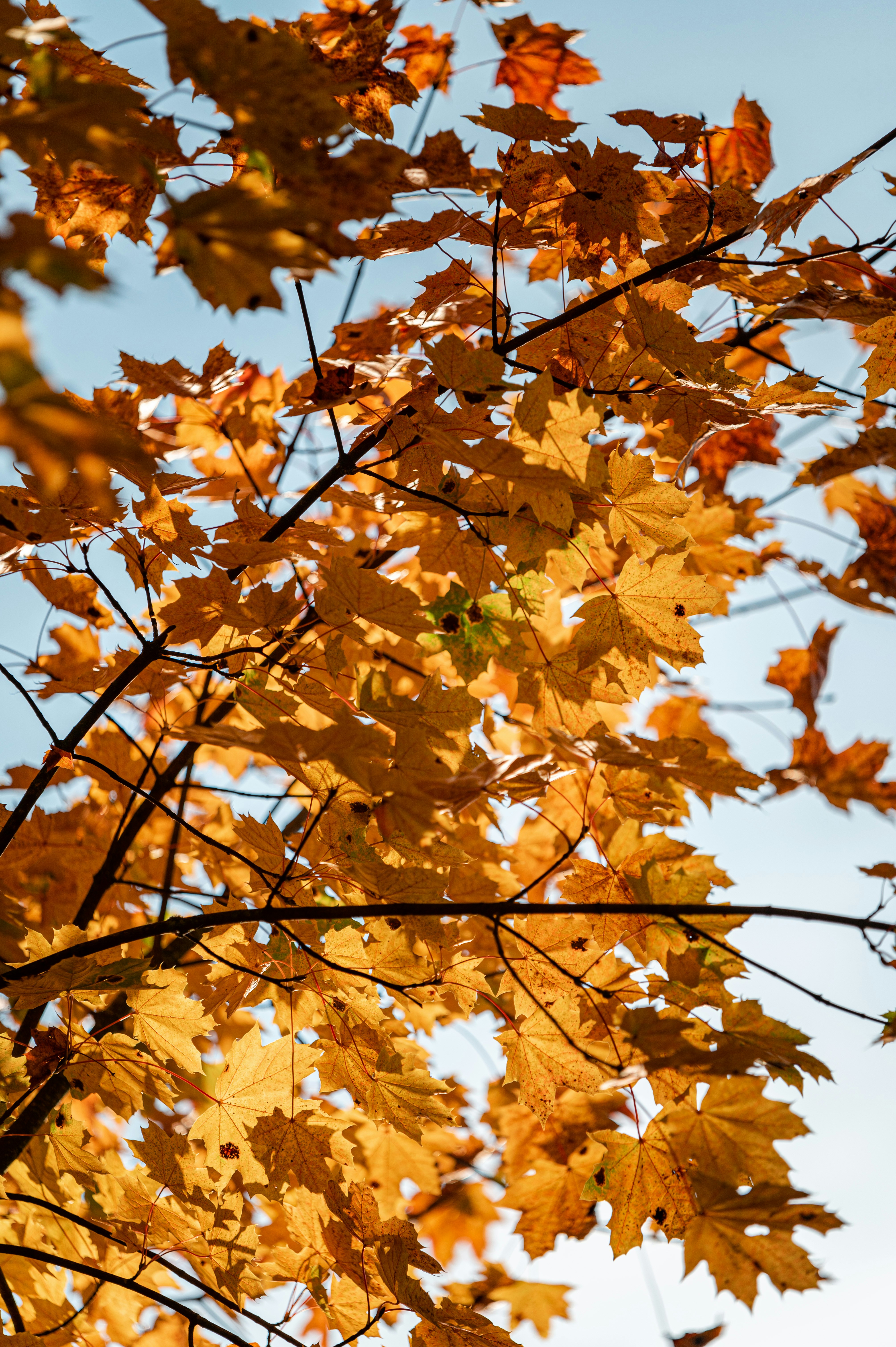 Photo by andreasbrun