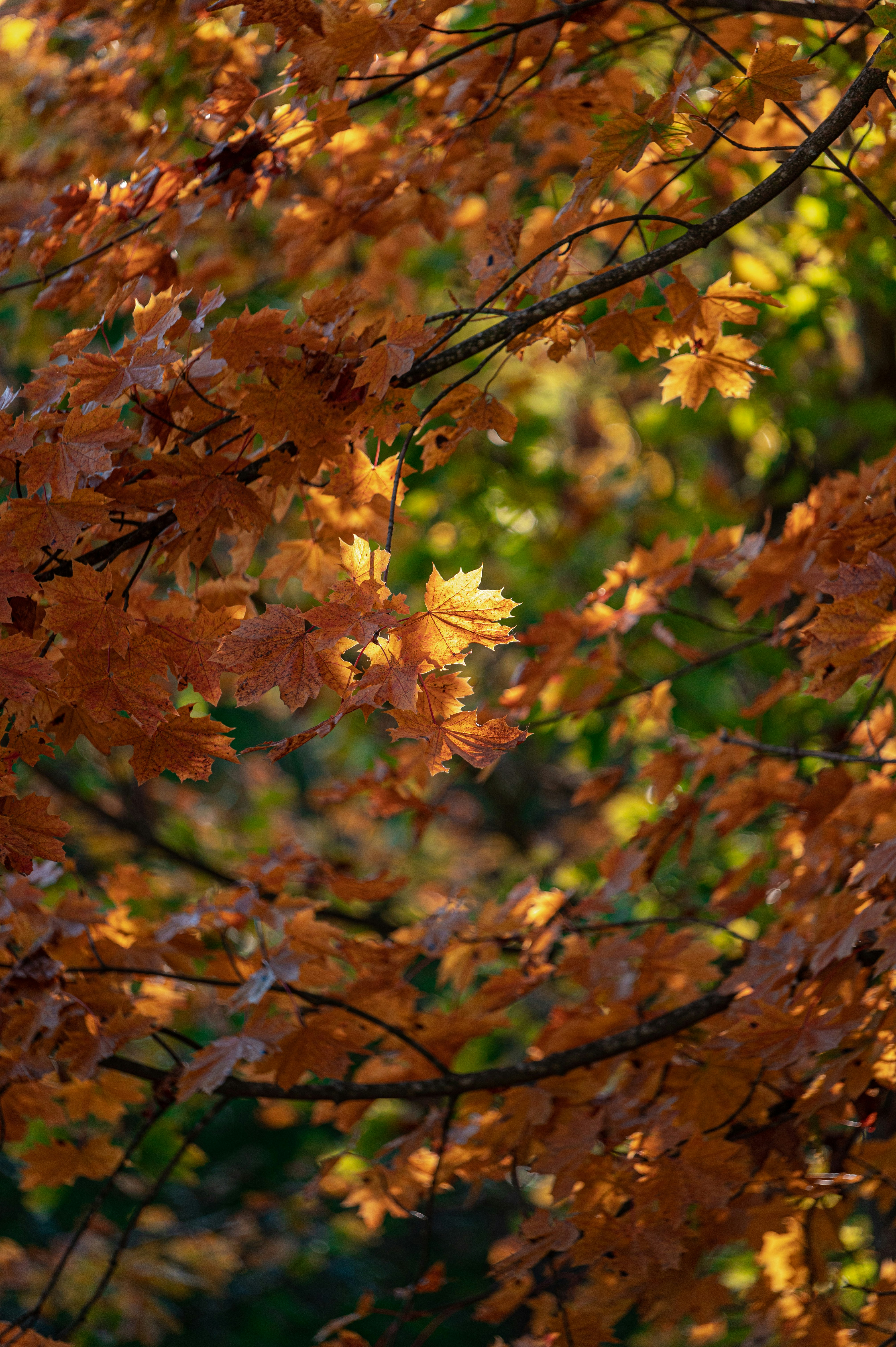 Photo by andreasbrun