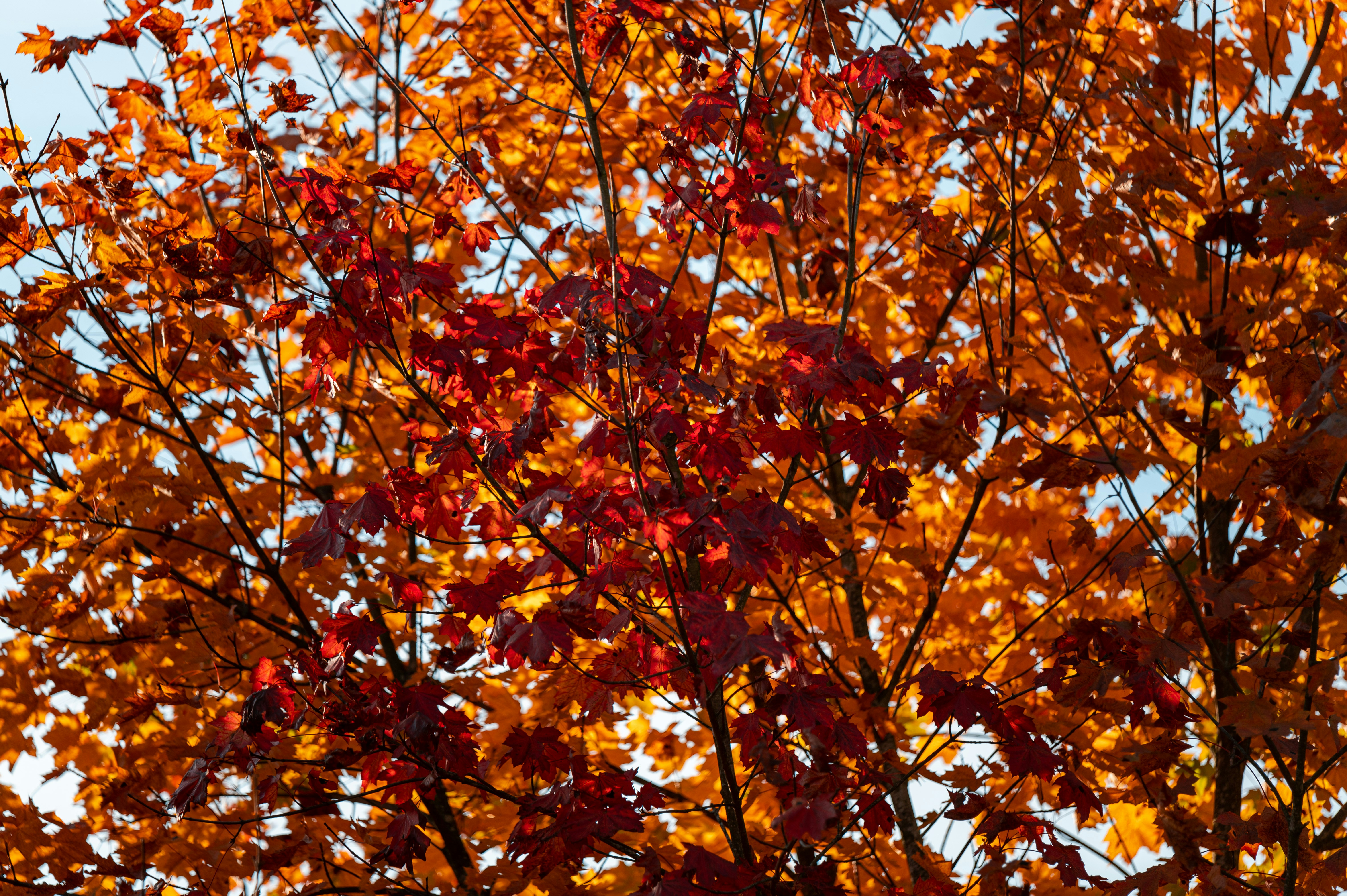 Photo by andreasbrun