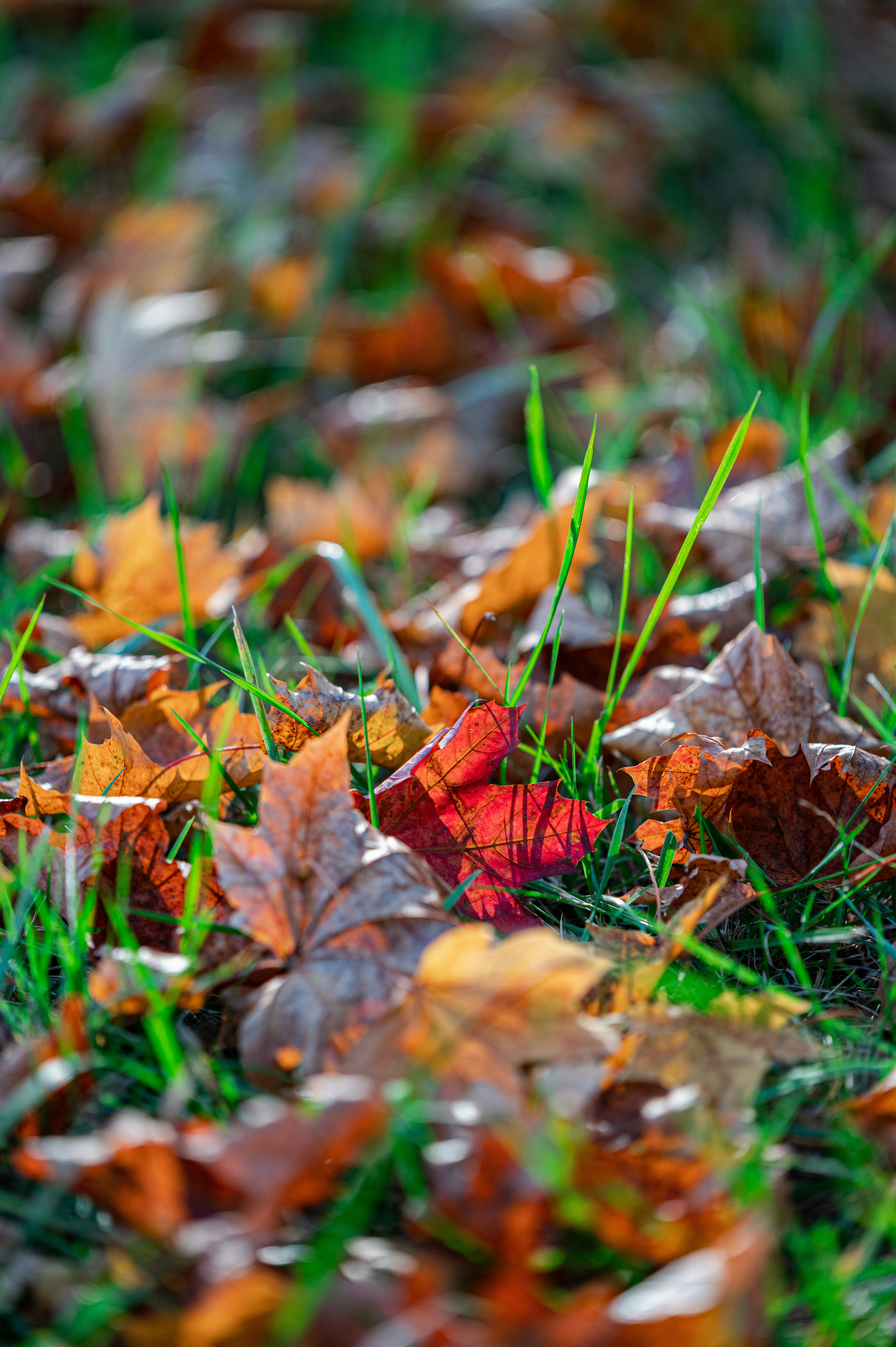 Photo by andreasbrun