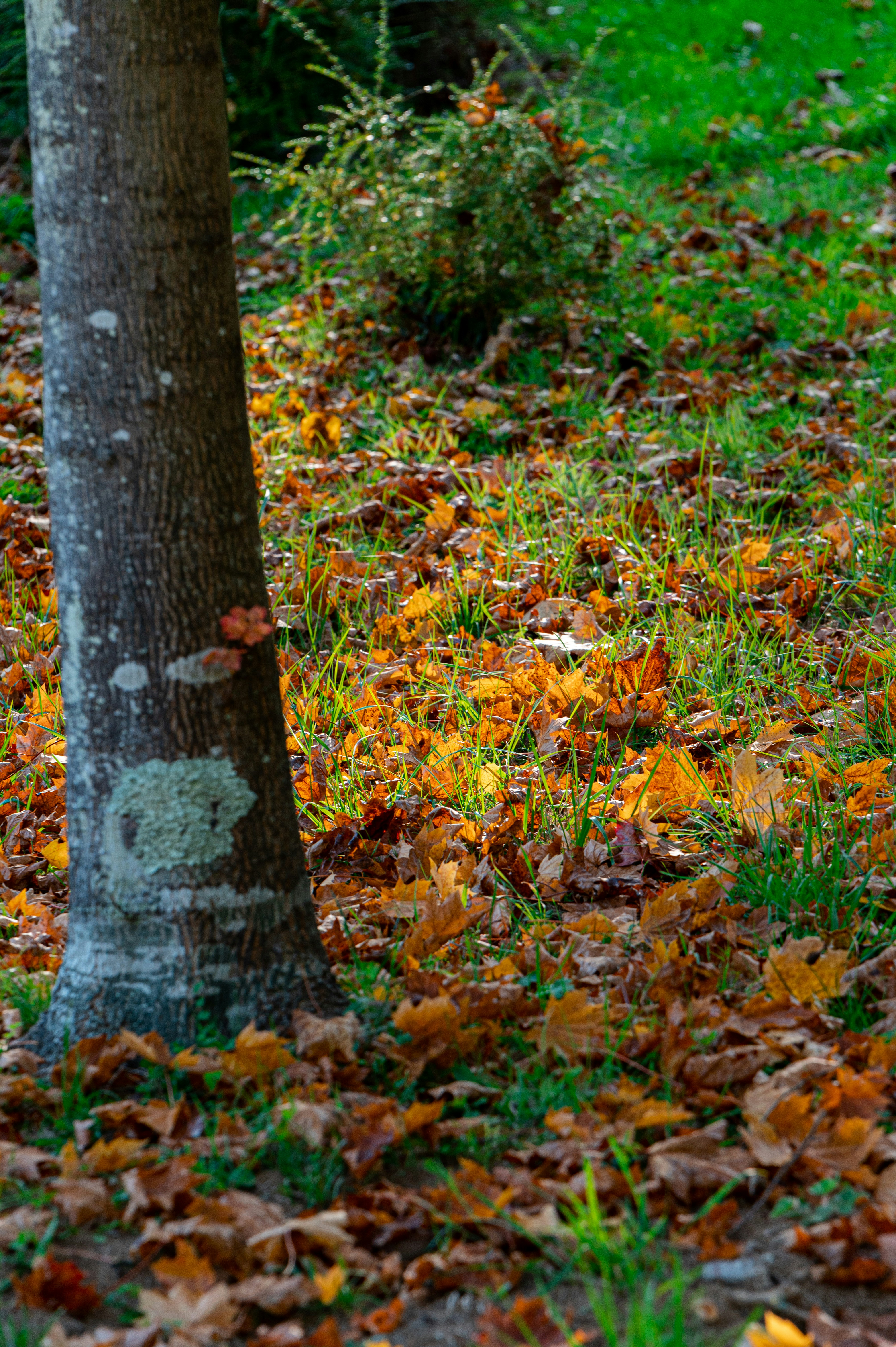 Photo by andreasbrun