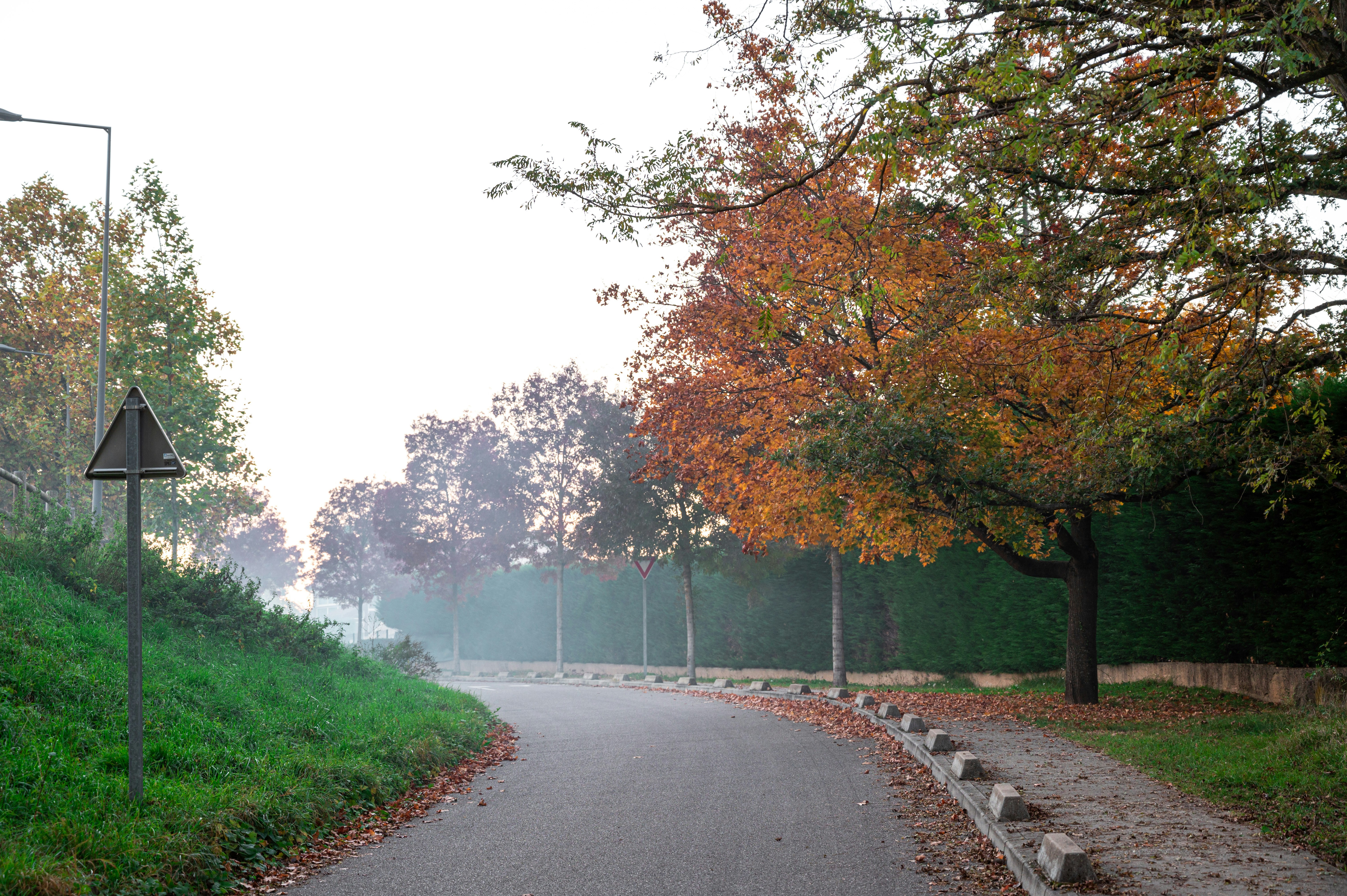 Photo by andreasbrun