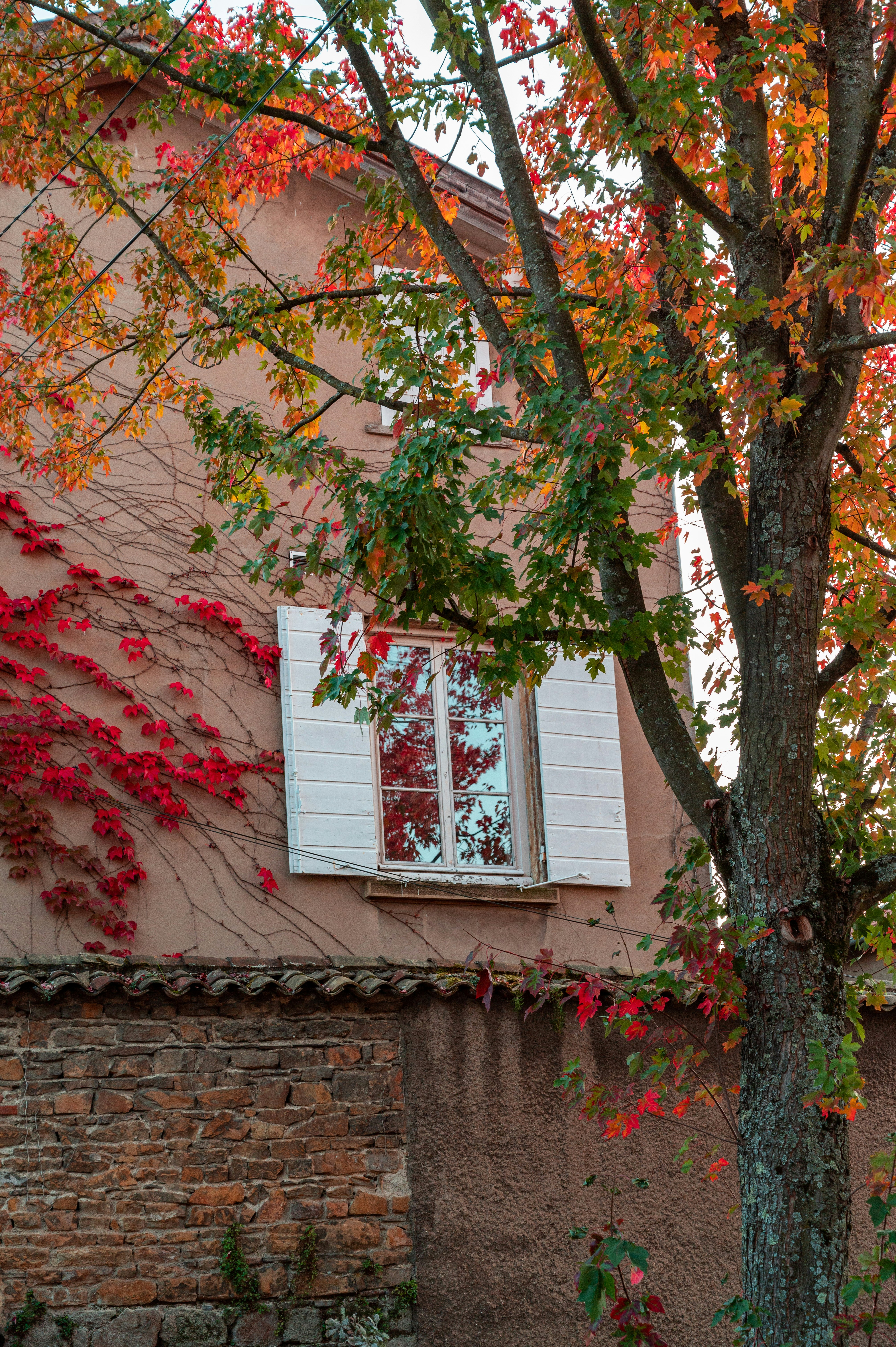 Photo by andreasbrun