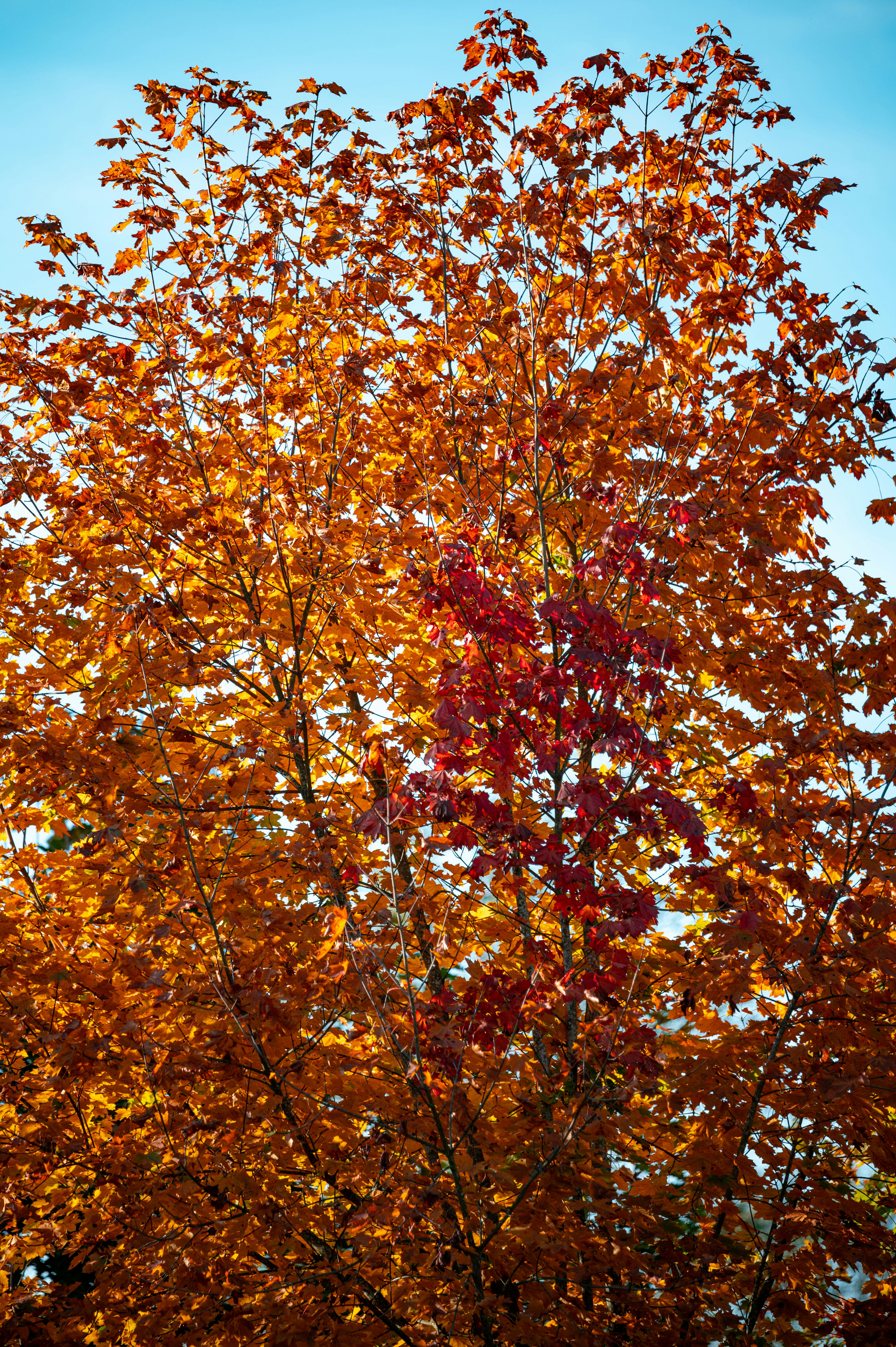 Photo by andreasbrun