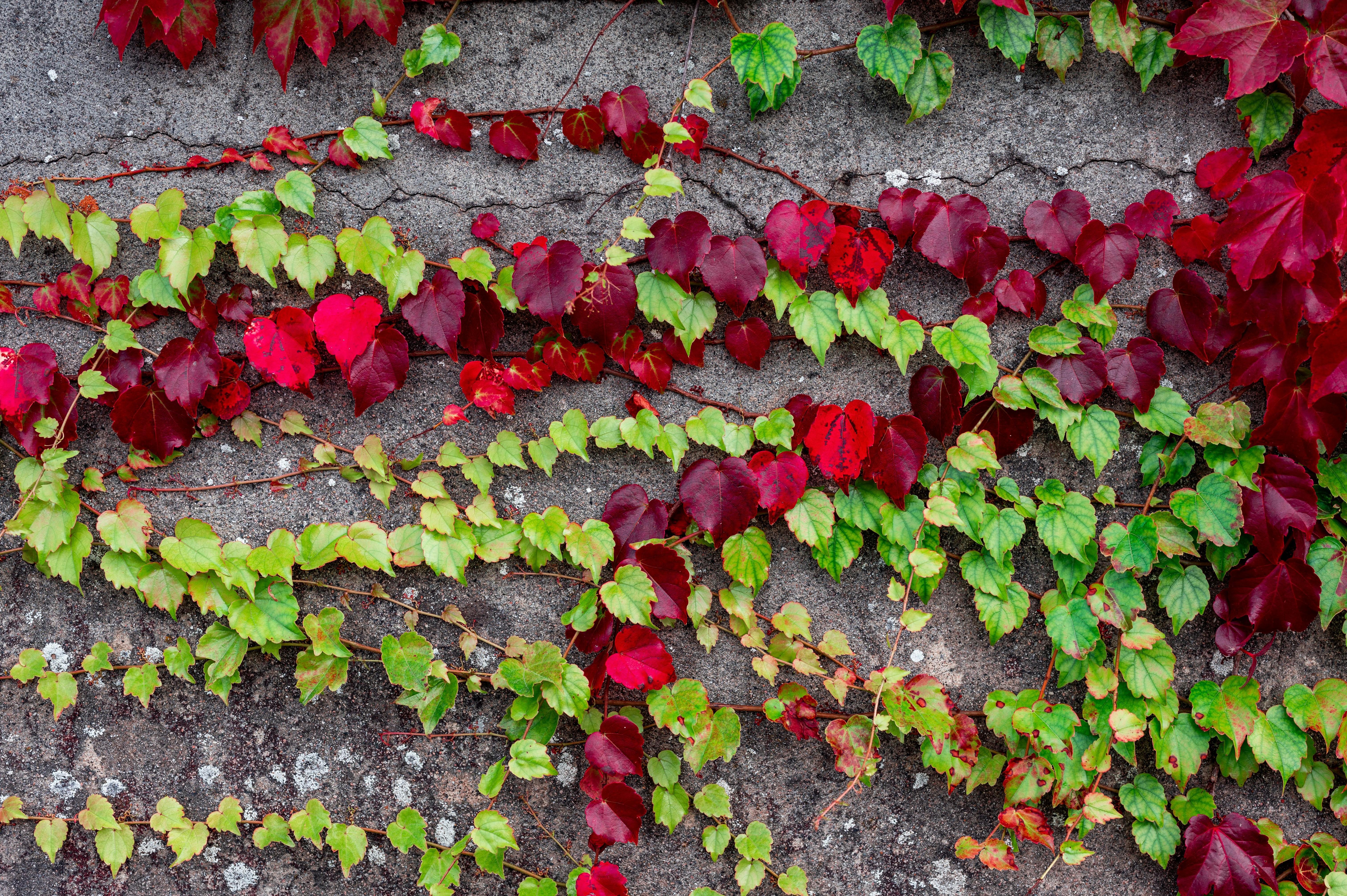 Photo by andreasbrun