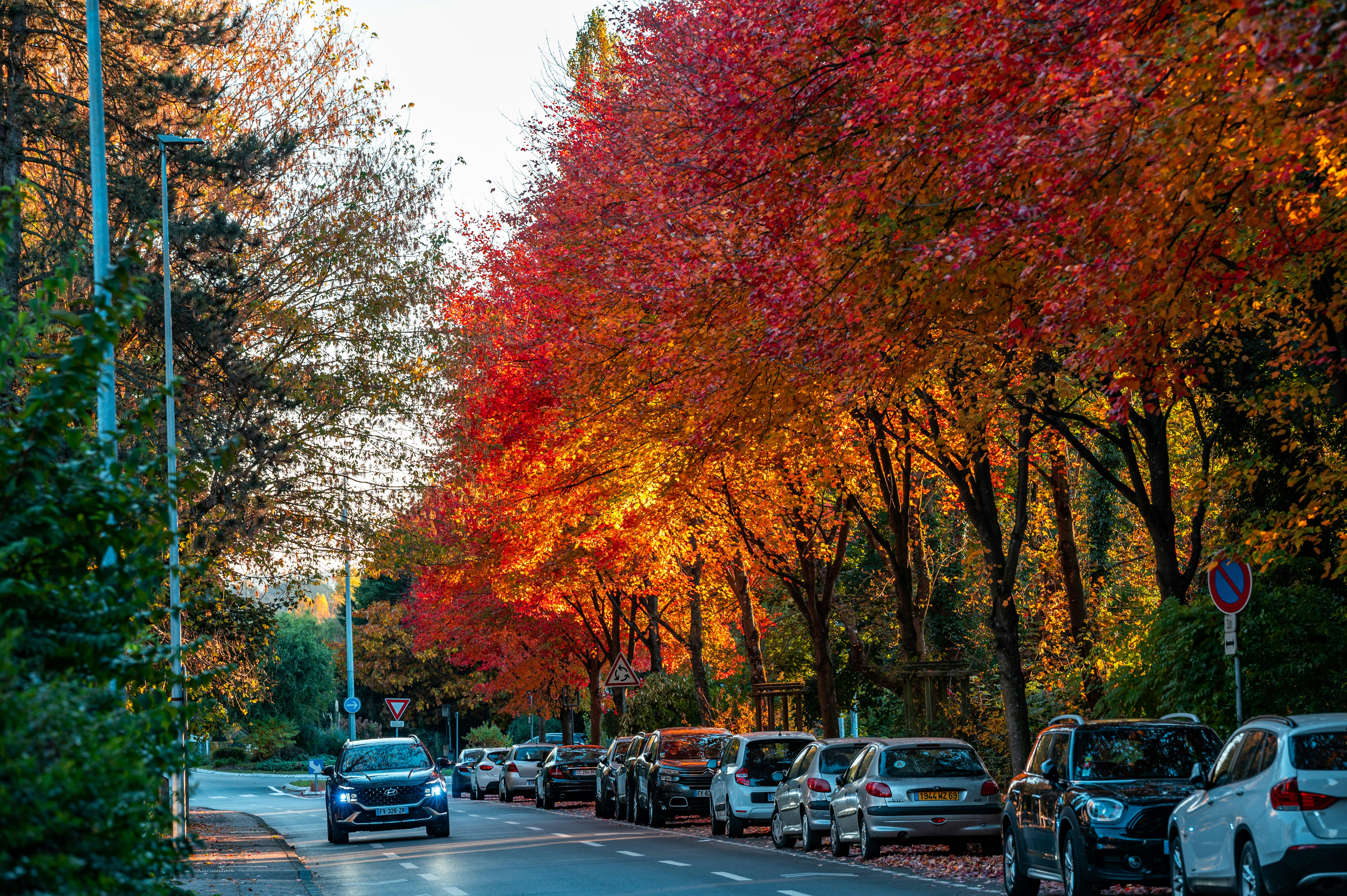 Photo by andreasbrun